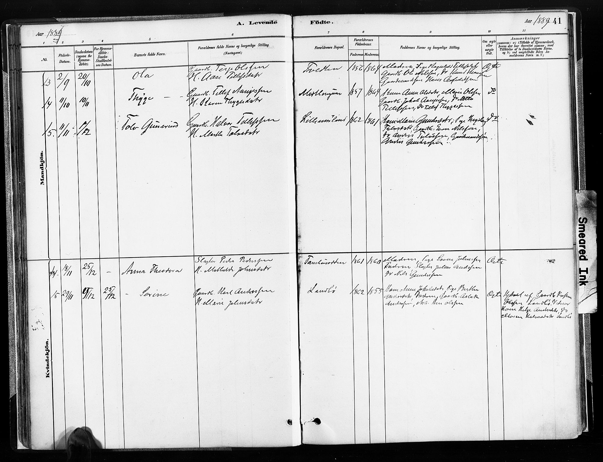 Austre Moland sokneprestkontor, SAK/1111-0001/F/Fa/Faa/L0010: Parish register (official) no. A 10, 1880-1904, p. 41