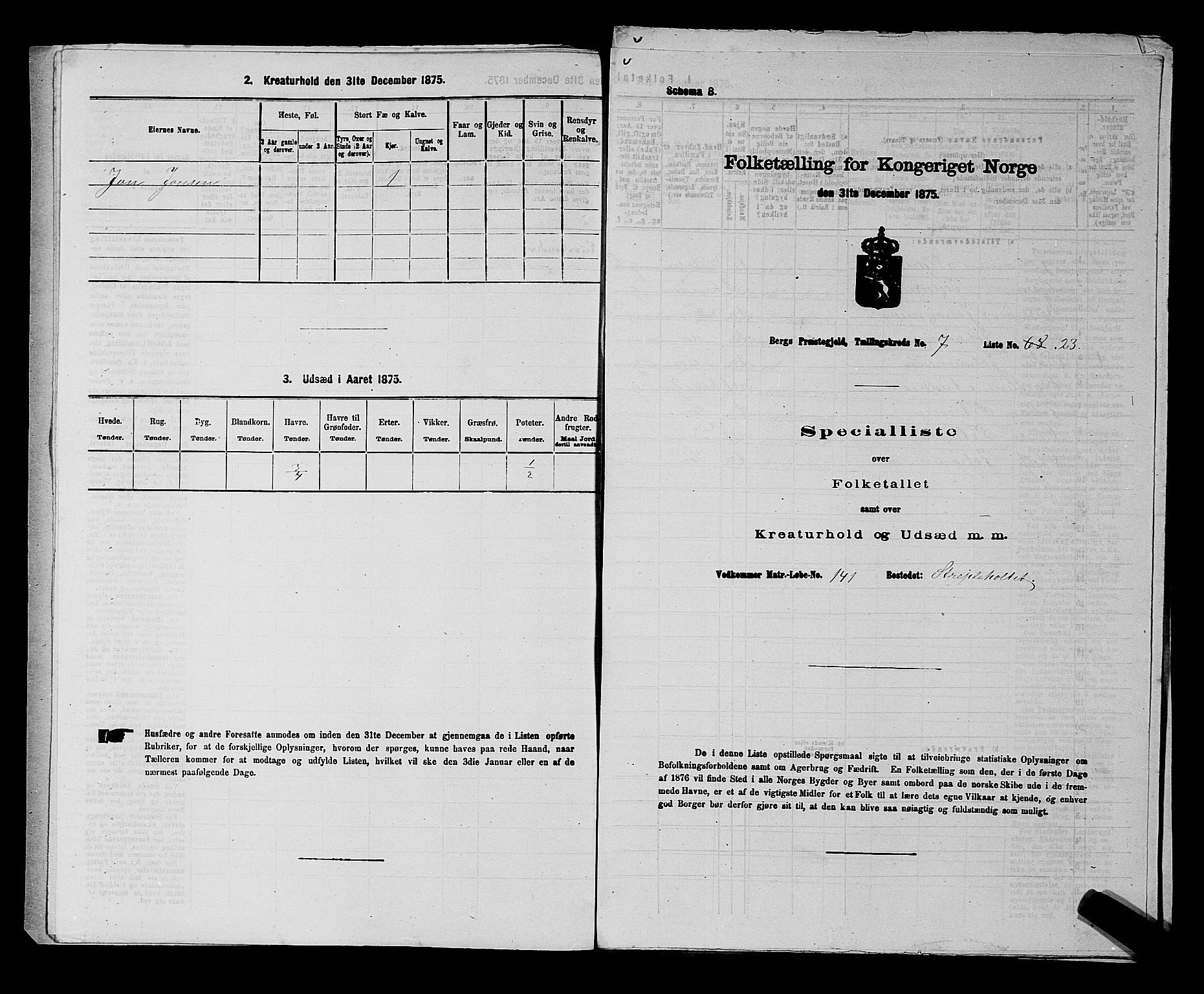 RA, 1875 census for 0116P Berg, 1875, p. 1181