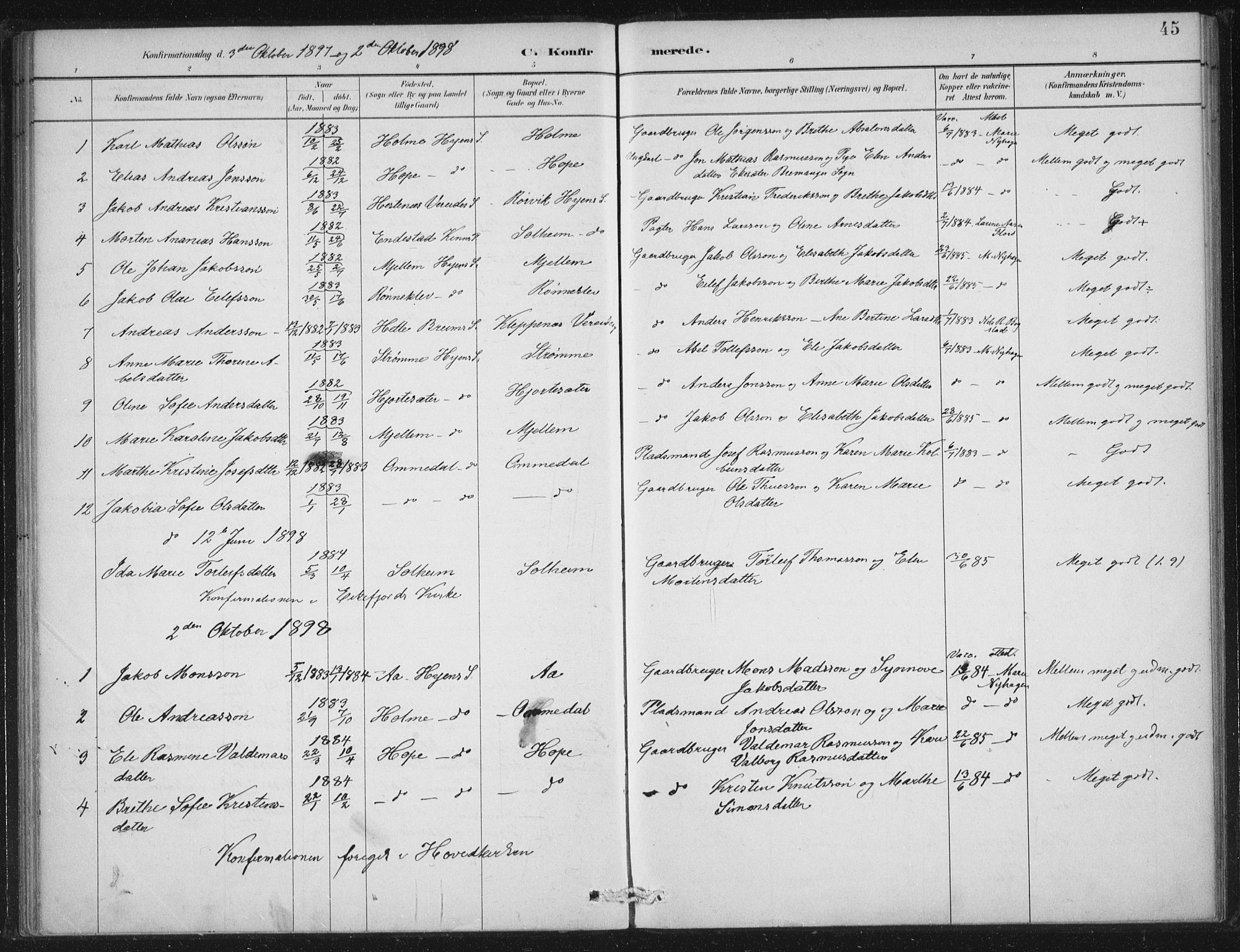 Gloppen sokneprestembete, SAB/A-80101/H/Haa/Haae/L0001: Parish register (official) no. E  1, 1885-1904, p. 45