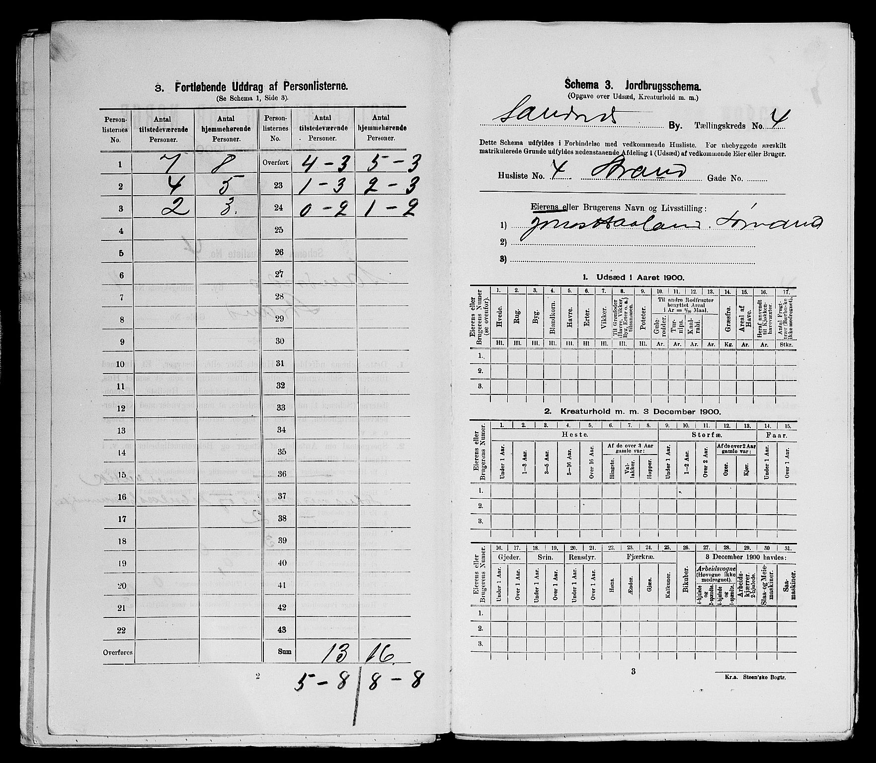 SAST, 1900 census for Sandnes, 1900, p. 505