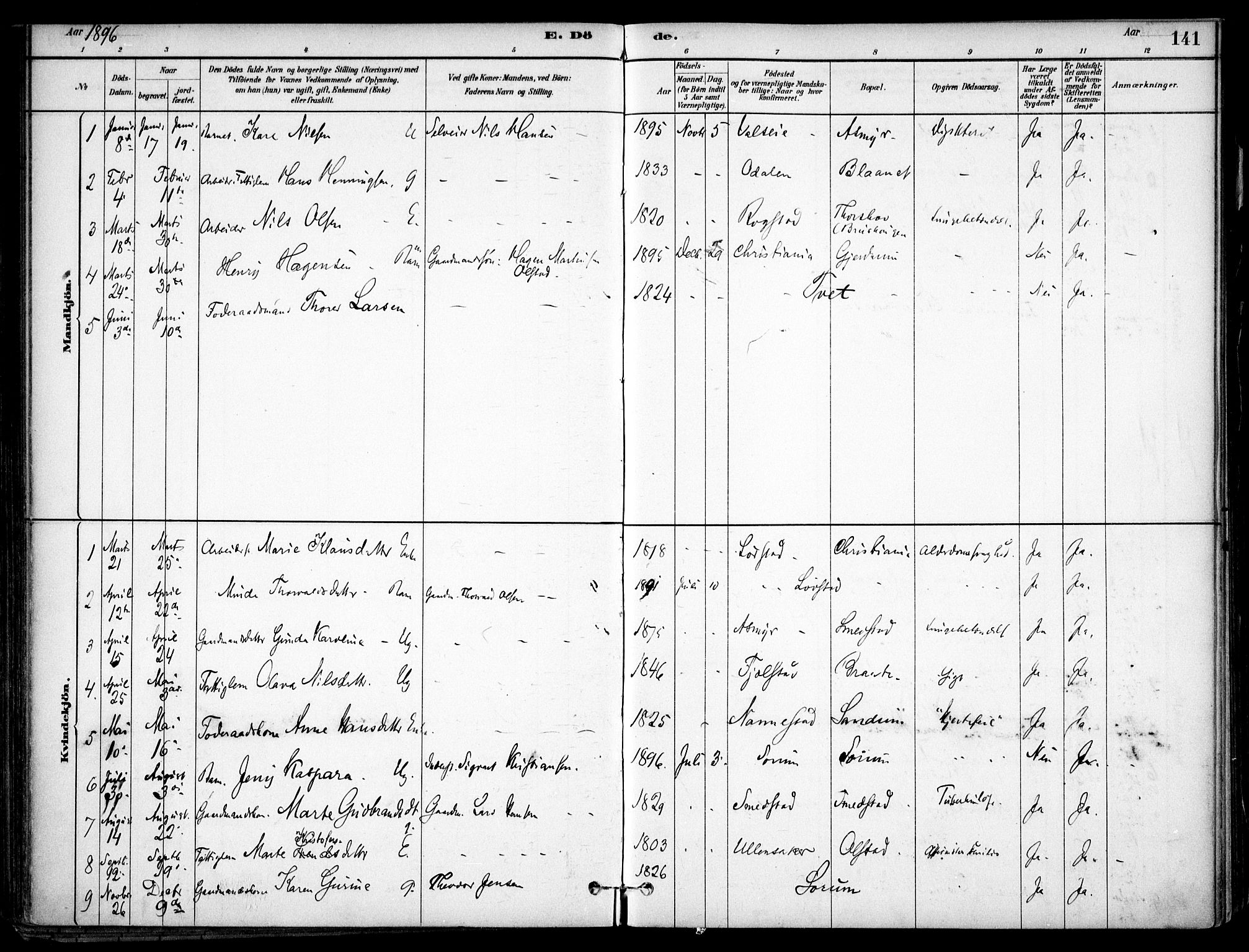 Gjerdrum prestekontor Kirkebøker, SAO/A-10412b/F/Fa/L0009: Parish register (official) no. I 9, 1881-1916, p. 141