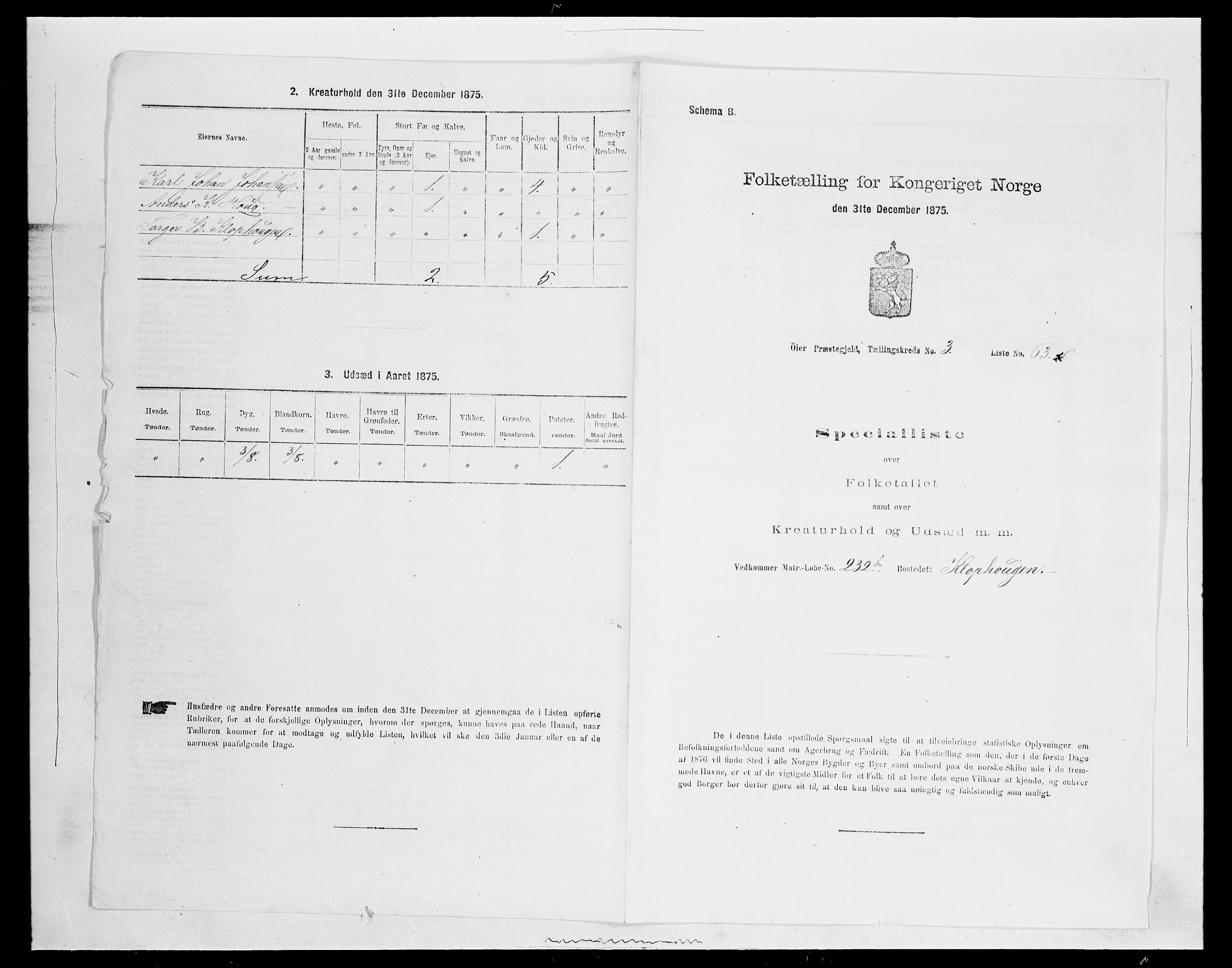 SAH, 1875 census for 0521P Øyer, 1875, p. 729