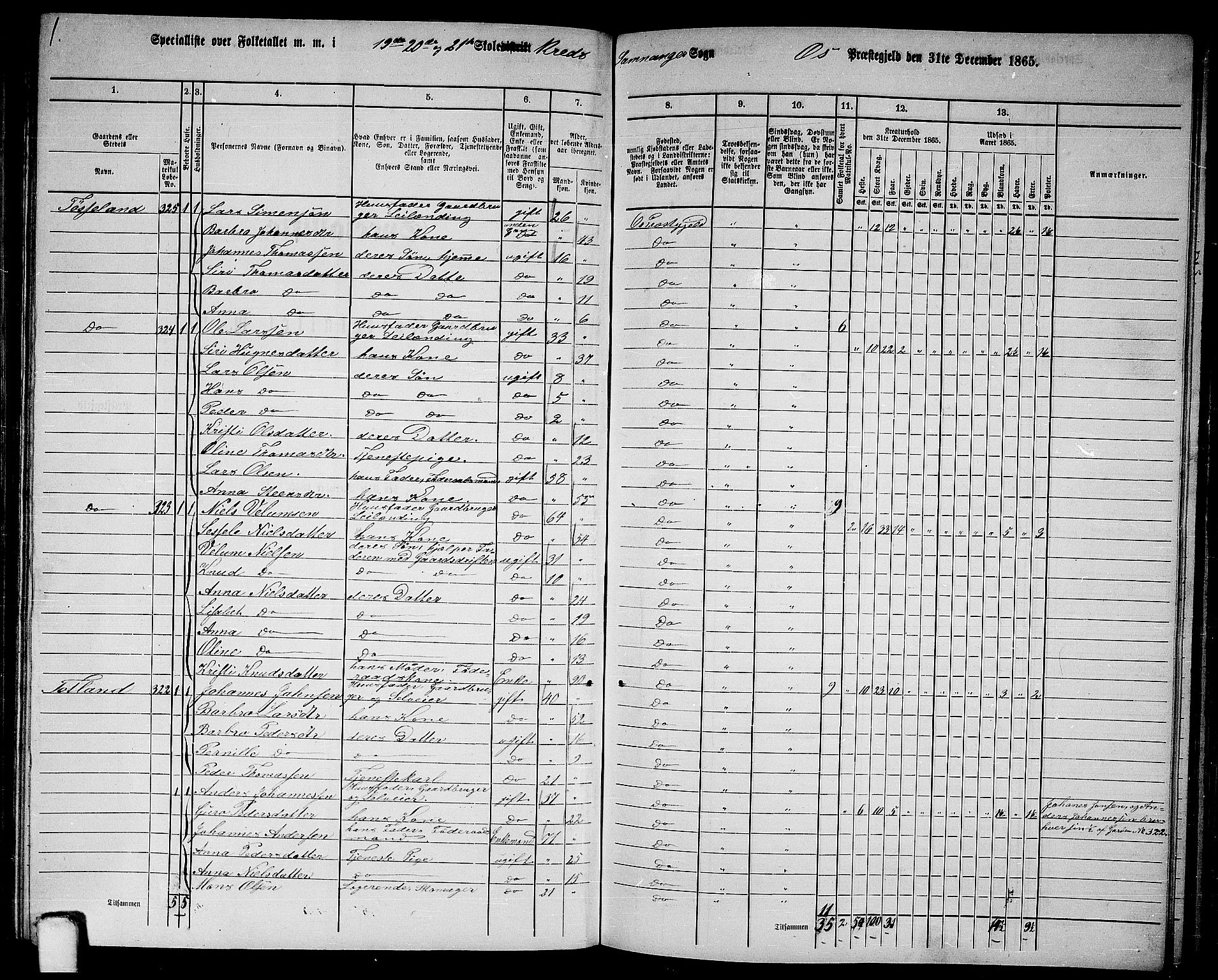RA, 1865 census for Os, 1865, p. 125