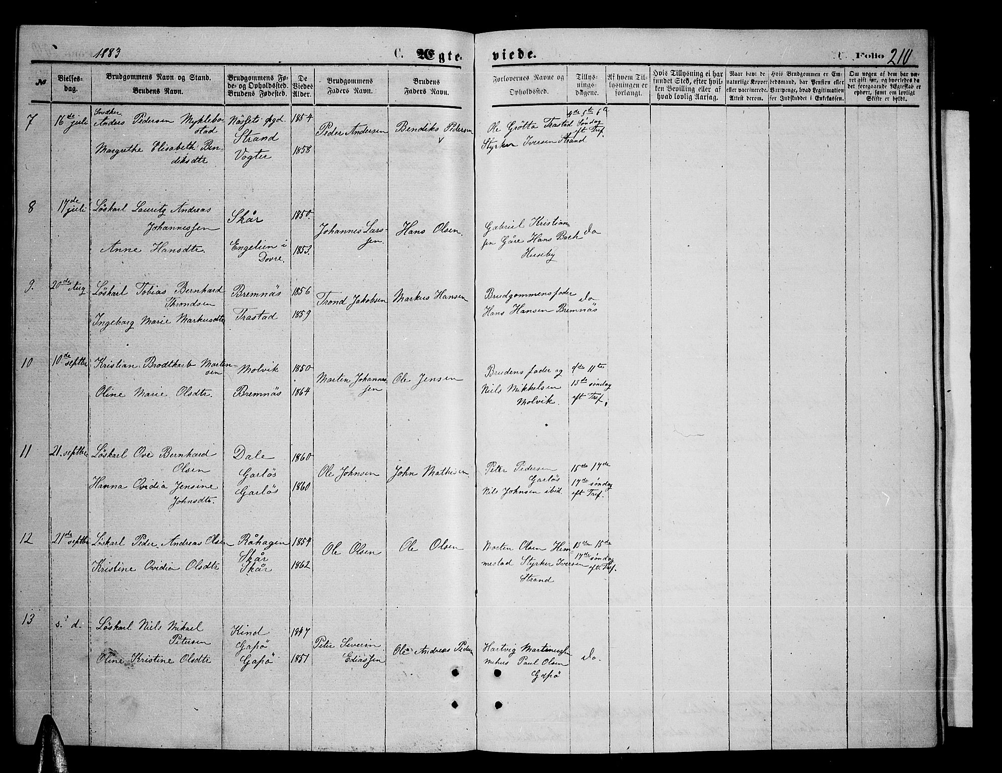 Kvæfjord sokneprestkontor, AV/SATØ-S-1323/G/Ga/Gab/L0004klokker: Parish register (copy) no. 4, 1870-1886, p. 210