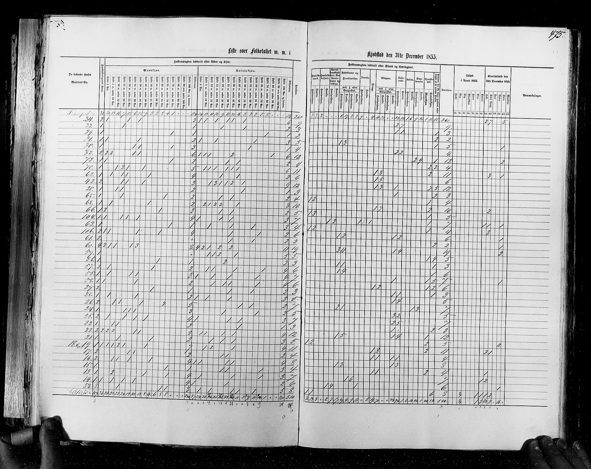 RA, Census 1855, vol. 7: Fredrikshald-Kragerø, 1855, p. 475