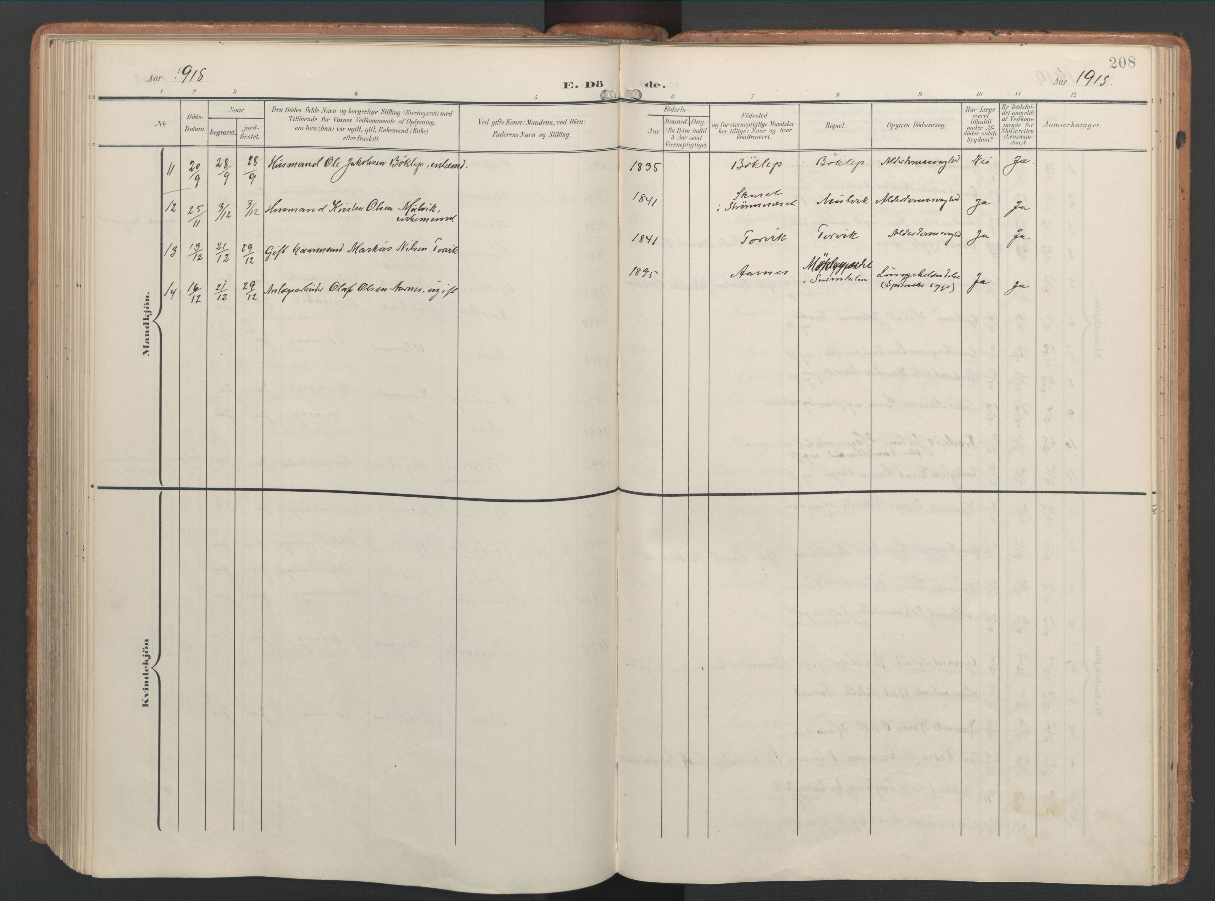 Ministerialprotokoller, klokkerbøker og fødselsregistre - Møre og Romsdal, AV/SAT-A-1454/592/L1030: Parish register (official) no. 592A08, 1901-1925, p. 208