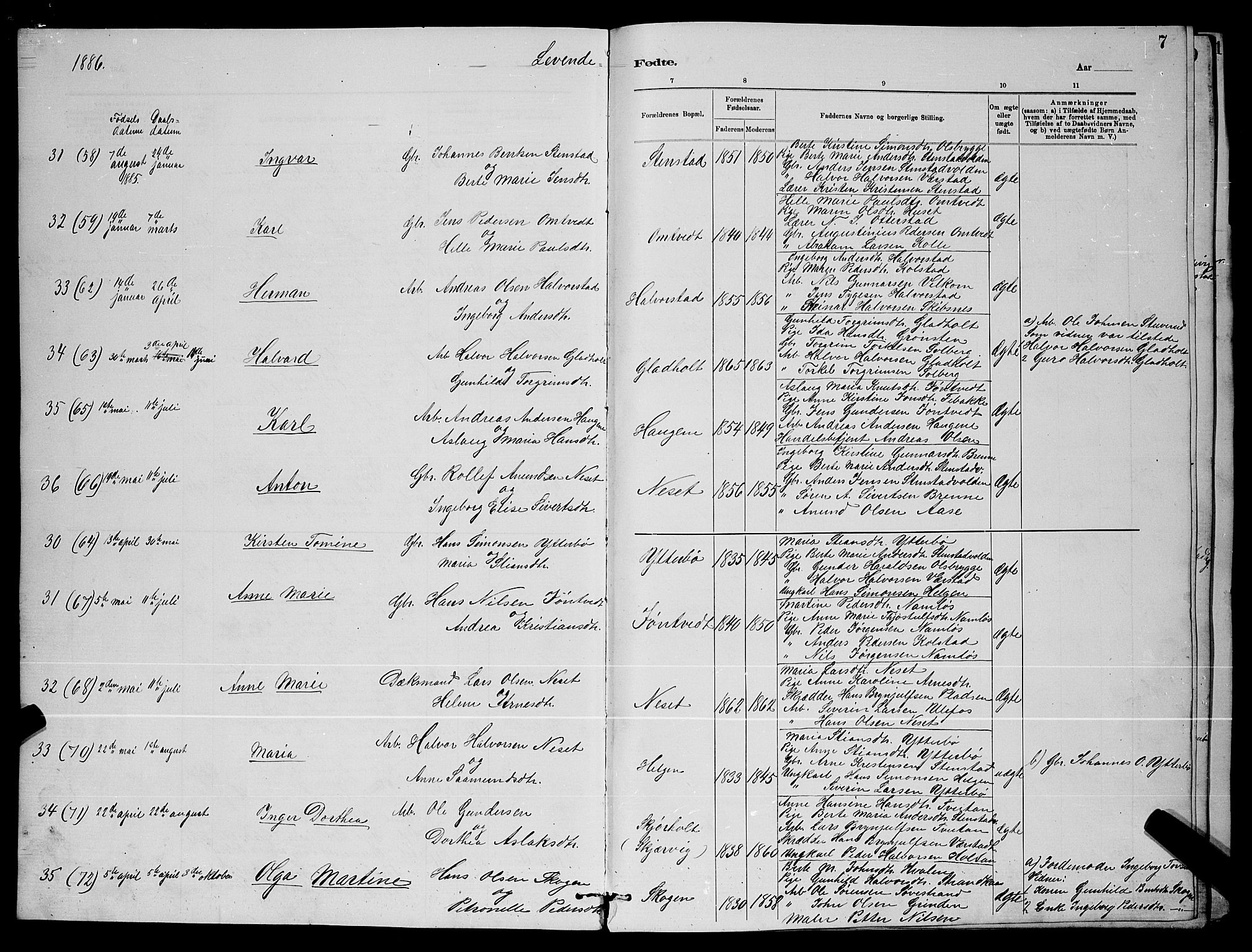 Holla kirkebøker, SAKO/A-272/G/Gb/L0001: Parish register (copy) no. II 1, 1882-1897, p. 7