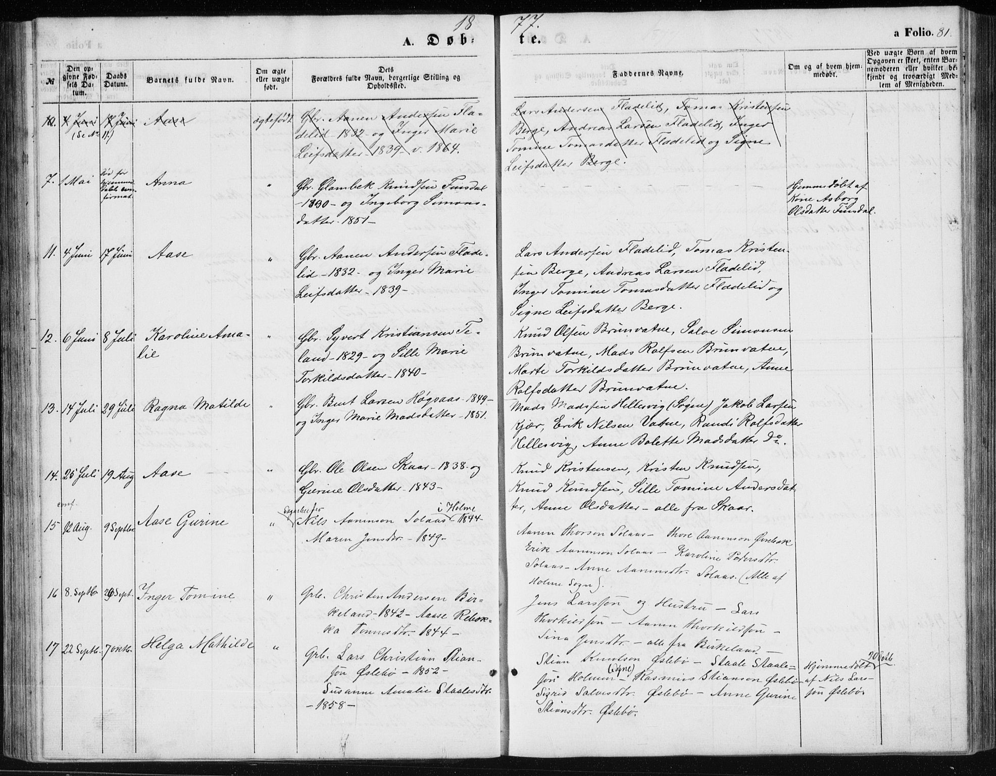 Holum sokneprestkontor, AV/SAK-1111-0022/F/Fb/Fbc/L0002: Parish register (copy) no. B 2, 1860-1882, p. 81