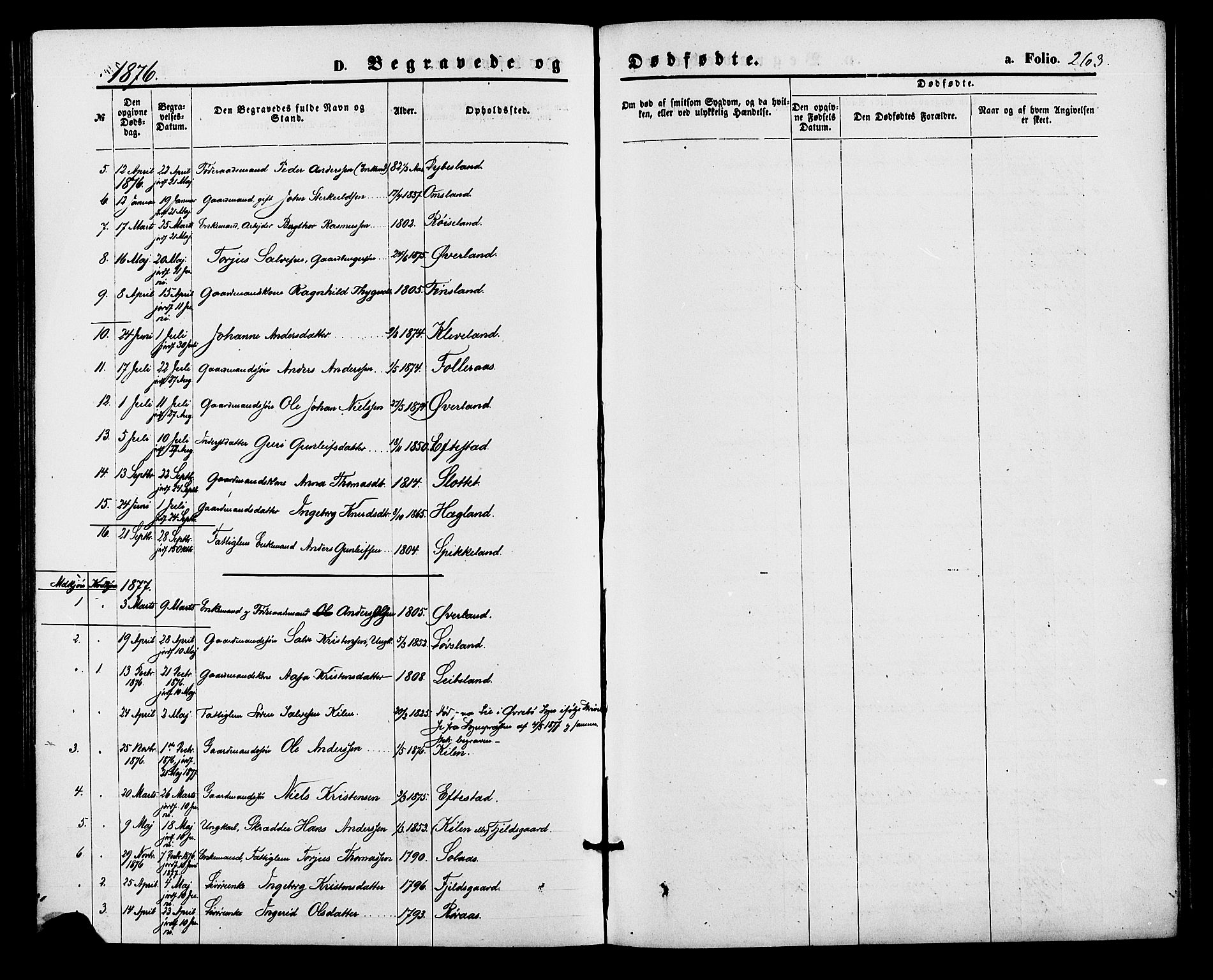 Bjelland sokneprestkontor, SAK/1111-0005/F/Fa/Fab/L0003: Parish register (official) no. A 3, 1870-1887, p. 263