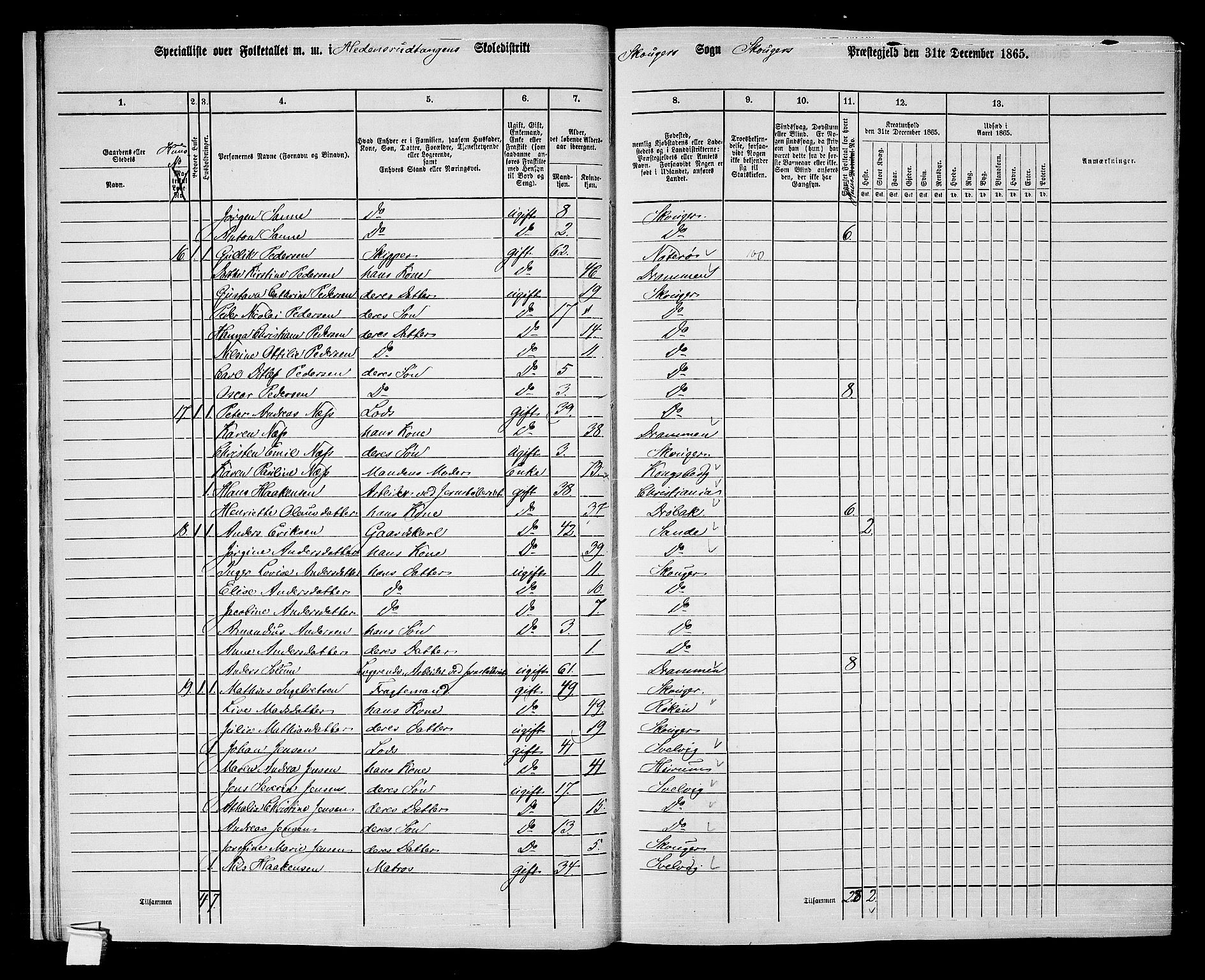 RA, 1865 census for Skoger, 1865, p. 18