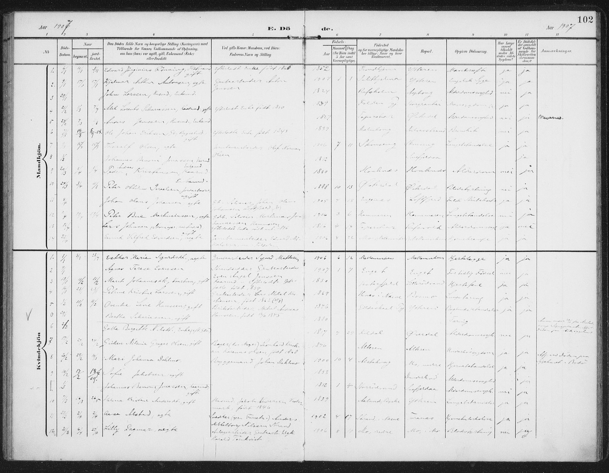 Ministerialprotokoller, klokkerbøker og fødselsregistre - Nordland, SAT/A-1459/827/L0403: Parish register (official) no. 827A15, 1903-1912, p. 102