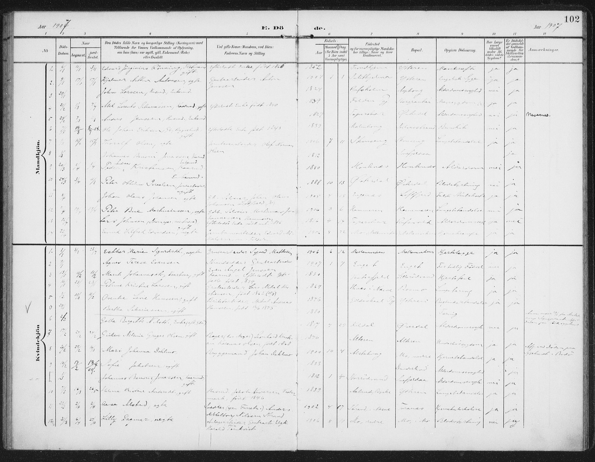 Ministerialprotokoller, klokkerbøker og fødselsregistre - Nordland, AV/SAT-A-1459/827/L0403: Parish register (official) no. 827A15, 1903-1912, p. 102