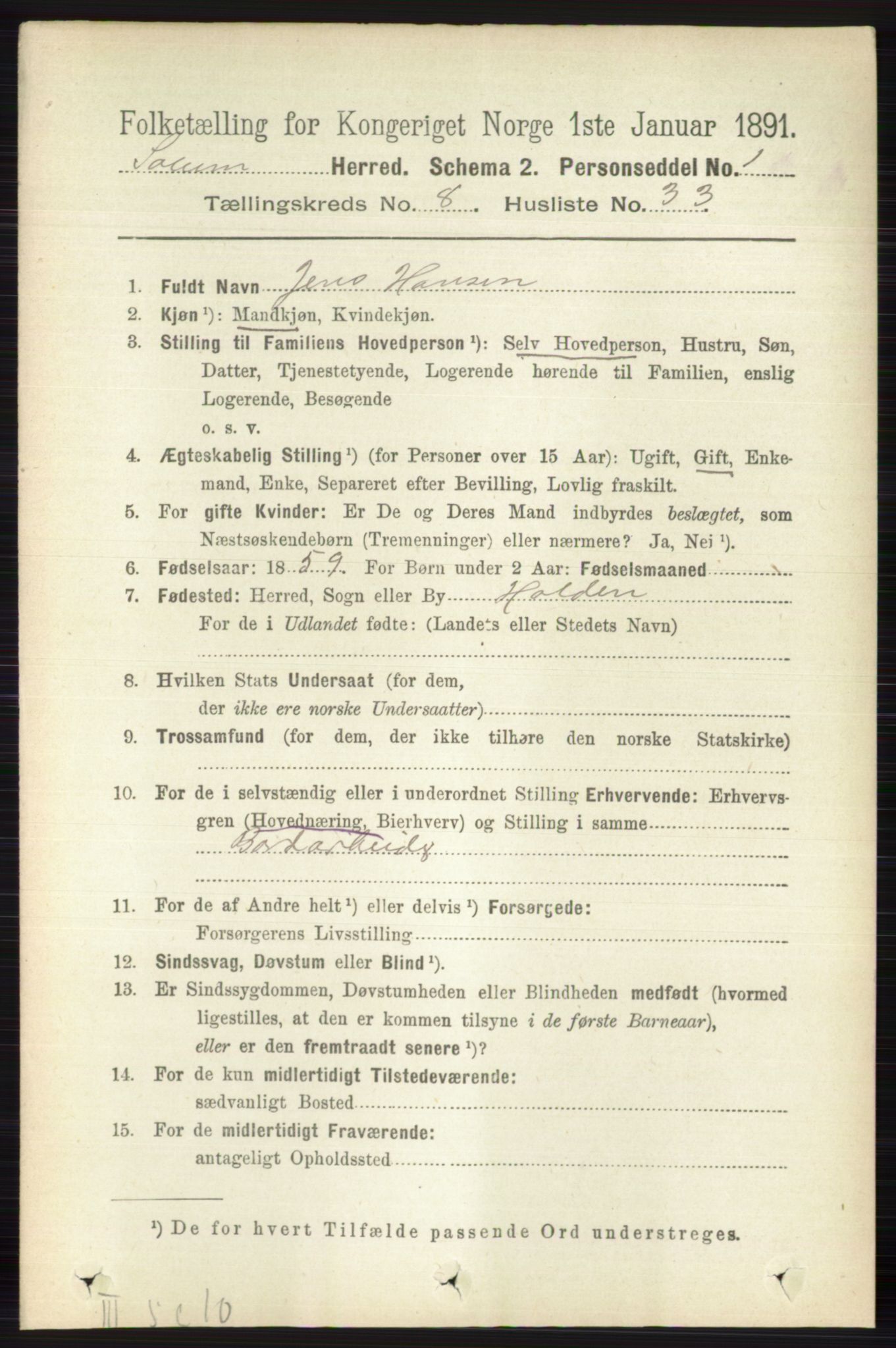 RA, 1891 census for 0818 Solum, 1891, p. 4312