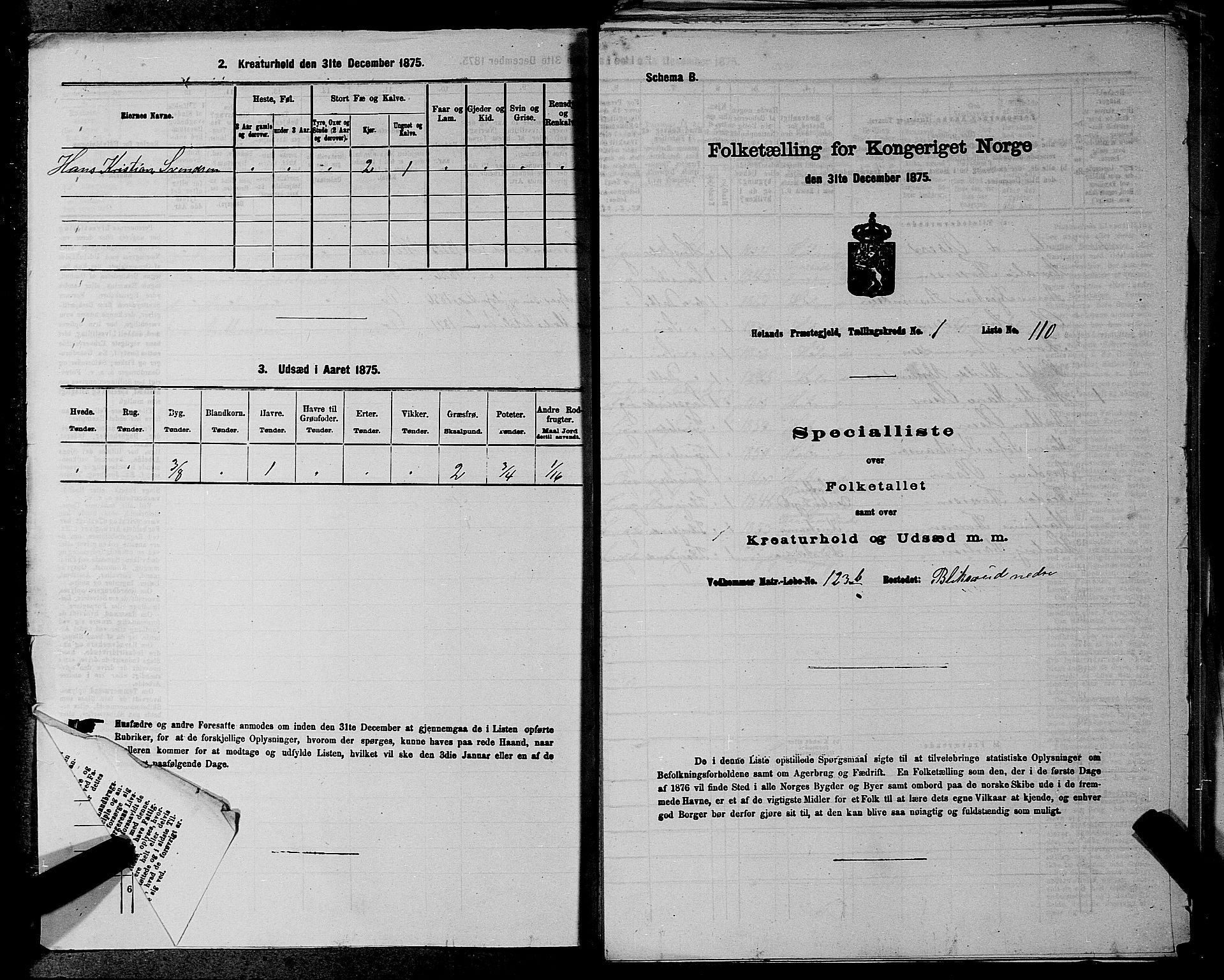 RA, 1875 census for 0221P Høland, 1875, p. 55