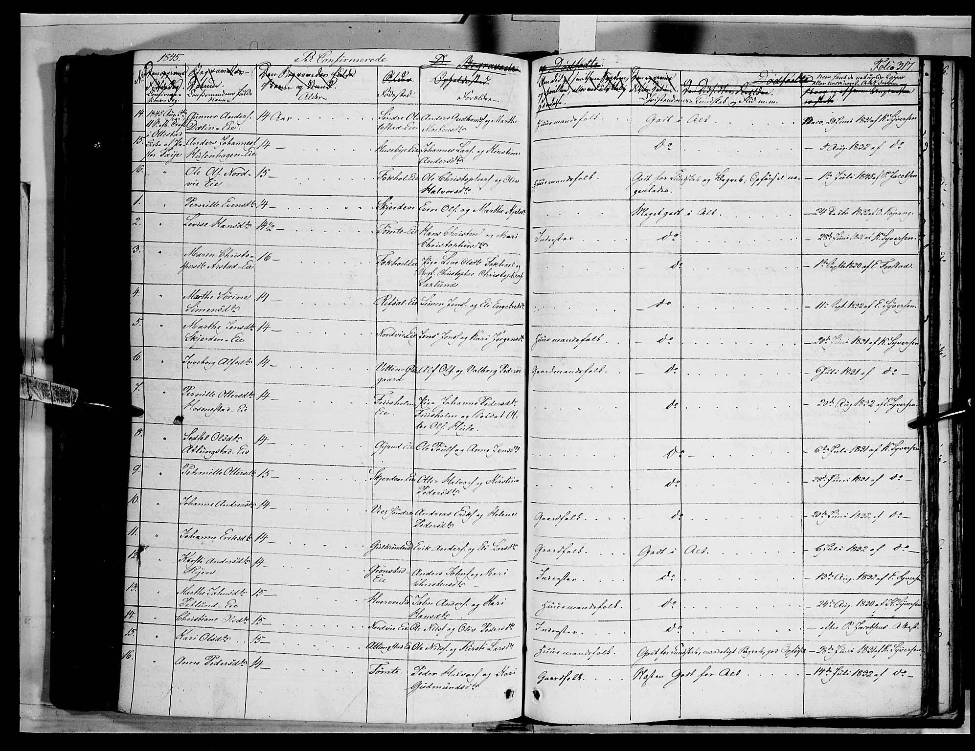 Stange prestekontor, AV/SAH-PREST-002/K/L0010: Parish register (official) no. 10, 1835-1845, p. 317