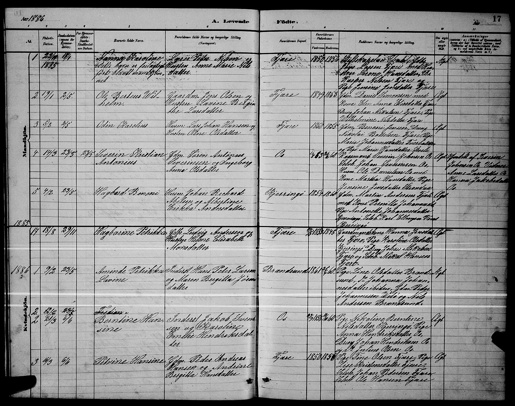 Ministerialprotokoller, klokkerbøker og fødselsregistre - Nordland, SAT/A-1459/803/L0076: Parish register (copy) no. 803C03, 1882-1897, p. 17