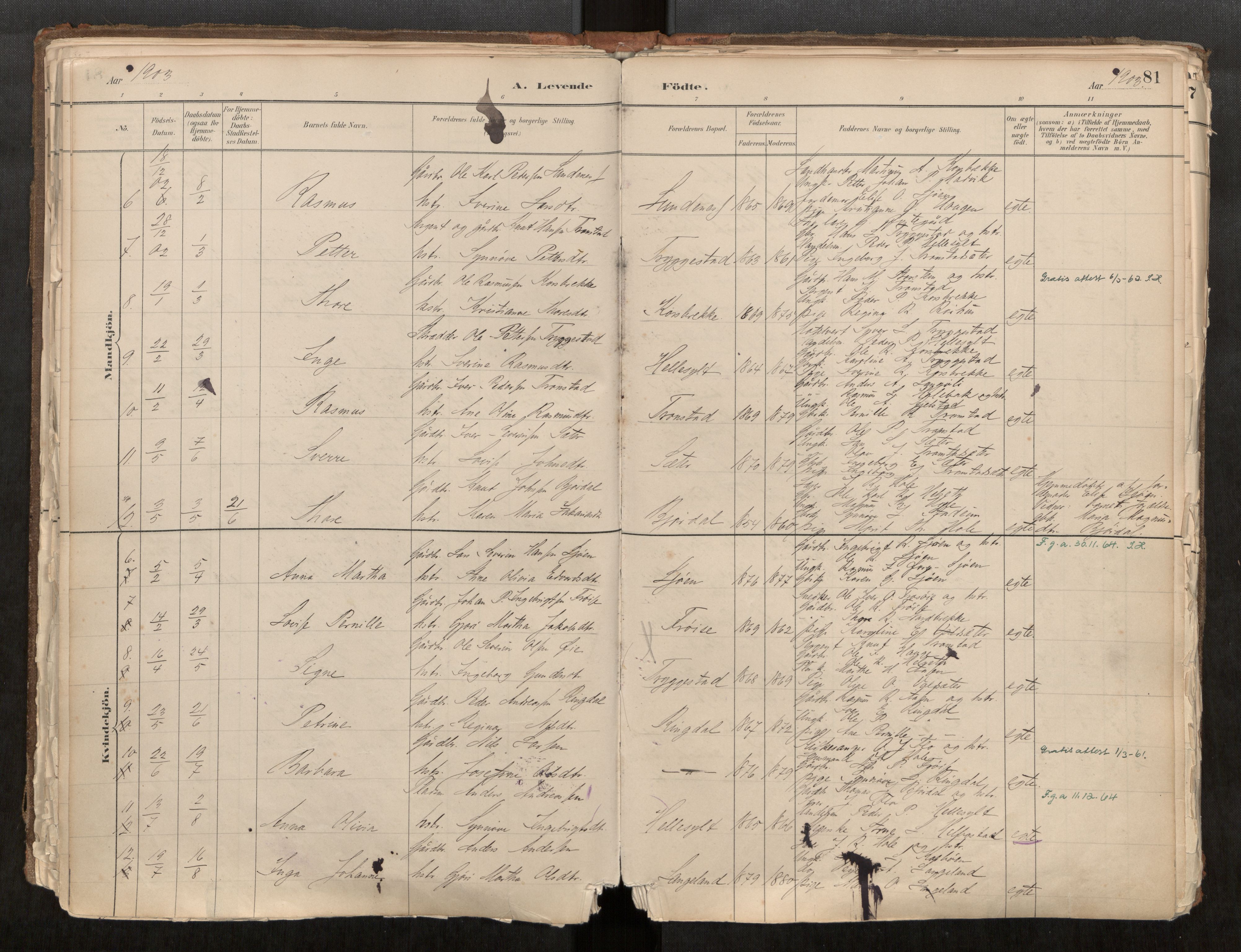 Sunnylven sokneprestkontor, AV/SAT-A-1007: Parish register (official) no. 517A08, 1882-1939, p. 81