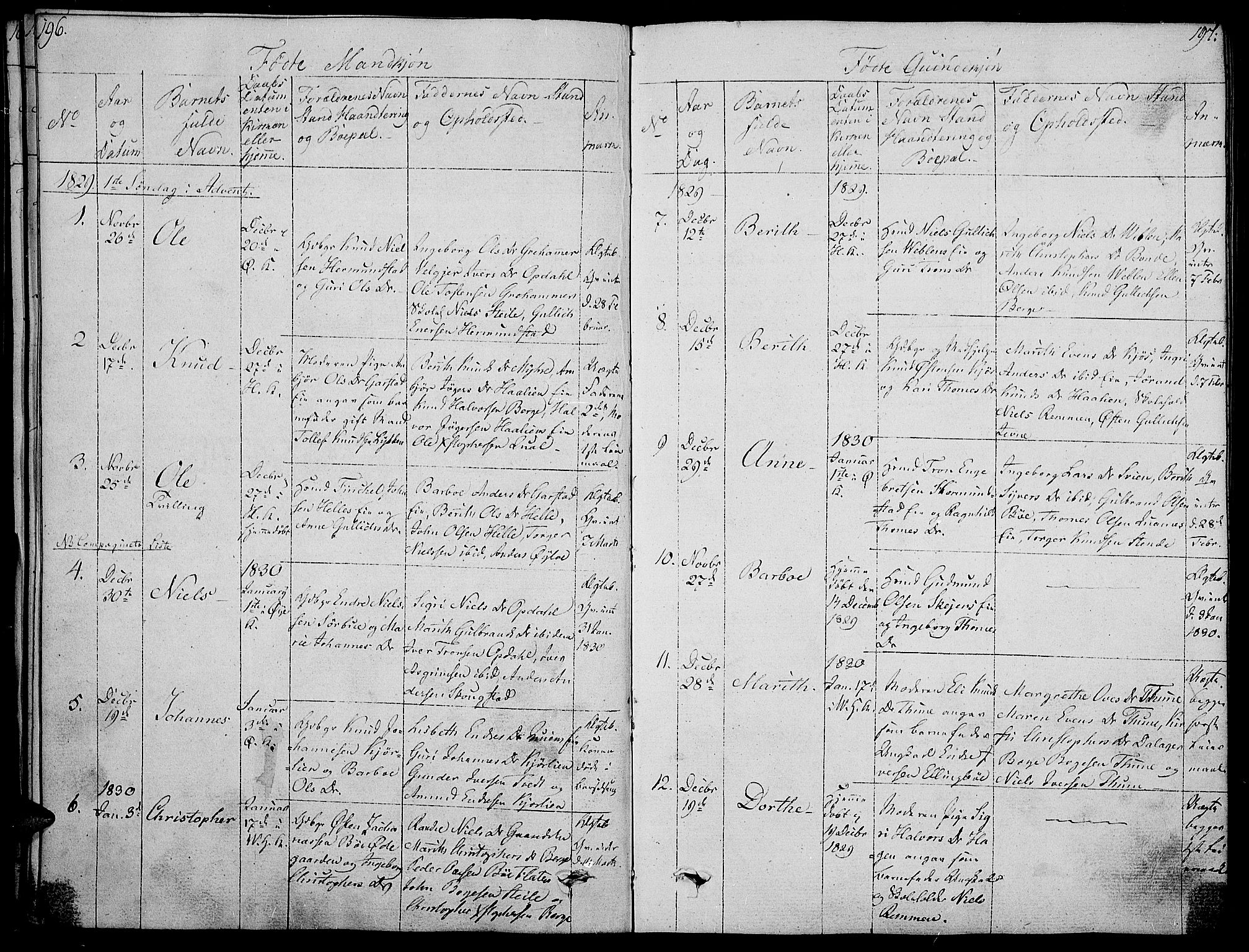 Vang prestekontor, Valdres, SAH/PREST-140/H/Ha/L0003: Parish register (official) no. 3, 1809-1831, p. 196-197