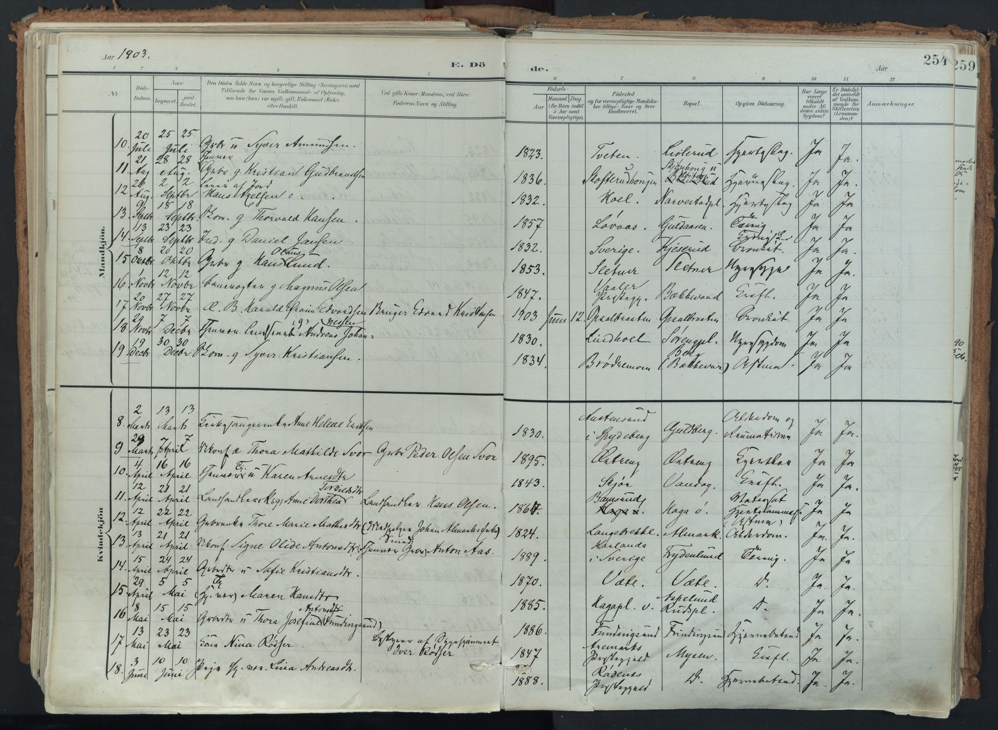 Eidsberg prestekontor Kirkebøker, SAO/A-10905/F/Fa/L0014: Parish register (official) no. I 14, 1902-1919, p. 254