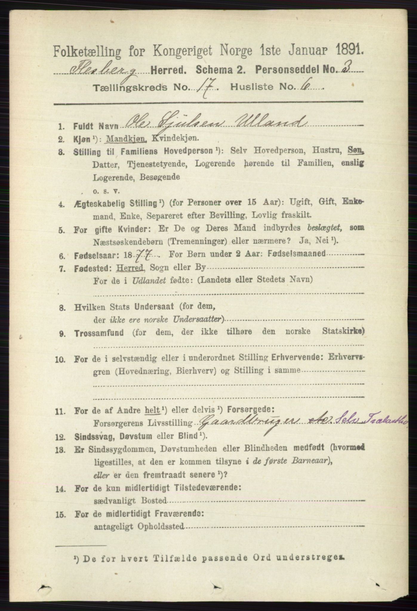 RA, 1891 census for 0631 Flesberg, 1891, p. 3015