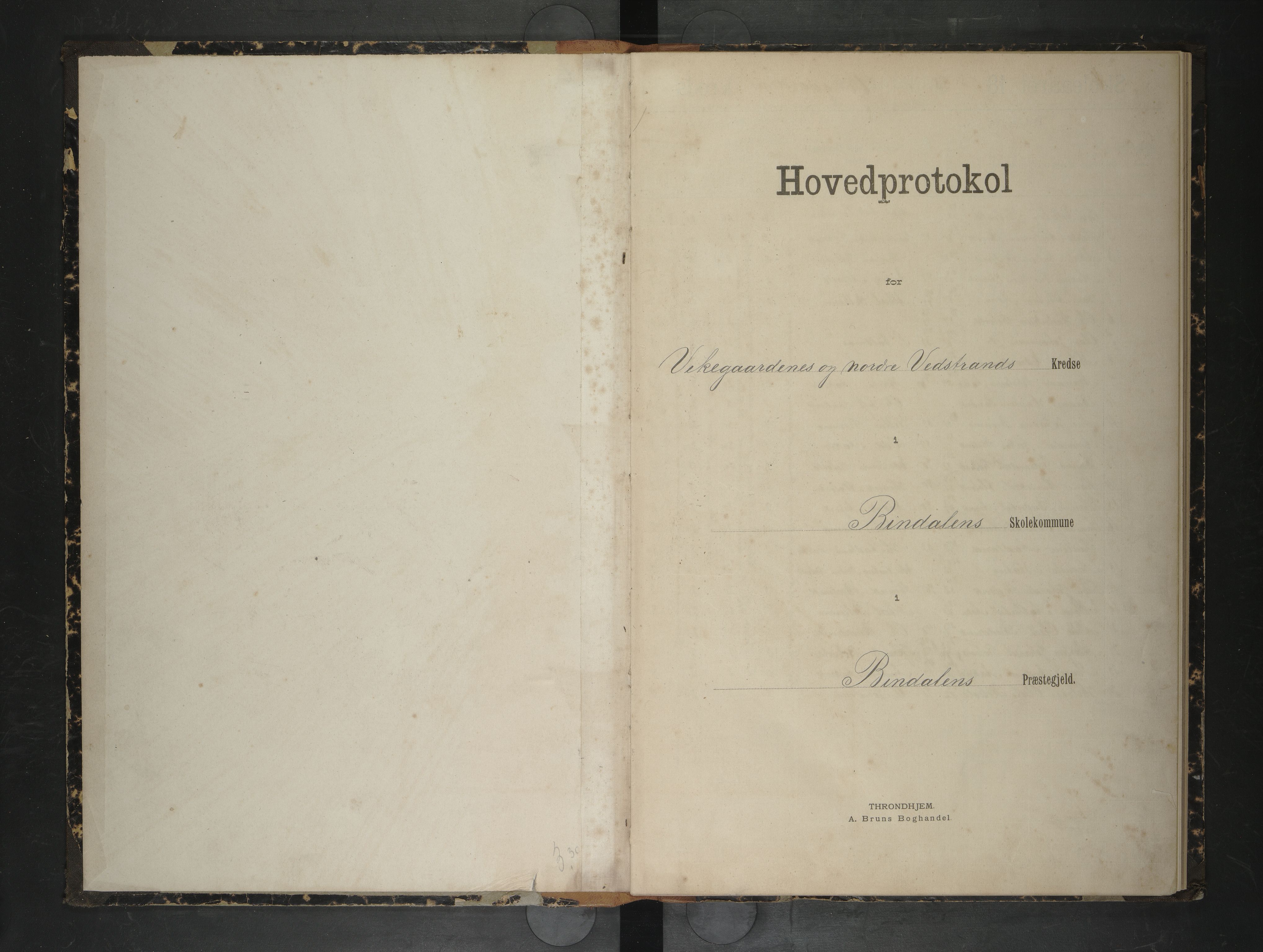 Bindal kommune. Ymse skolekretser, AIN/K-18110.510.09/F/Fa/L0039: Bindalseidet,Nordre Vedstrand,Vikgården, hovedprotokoll, 1895-1896