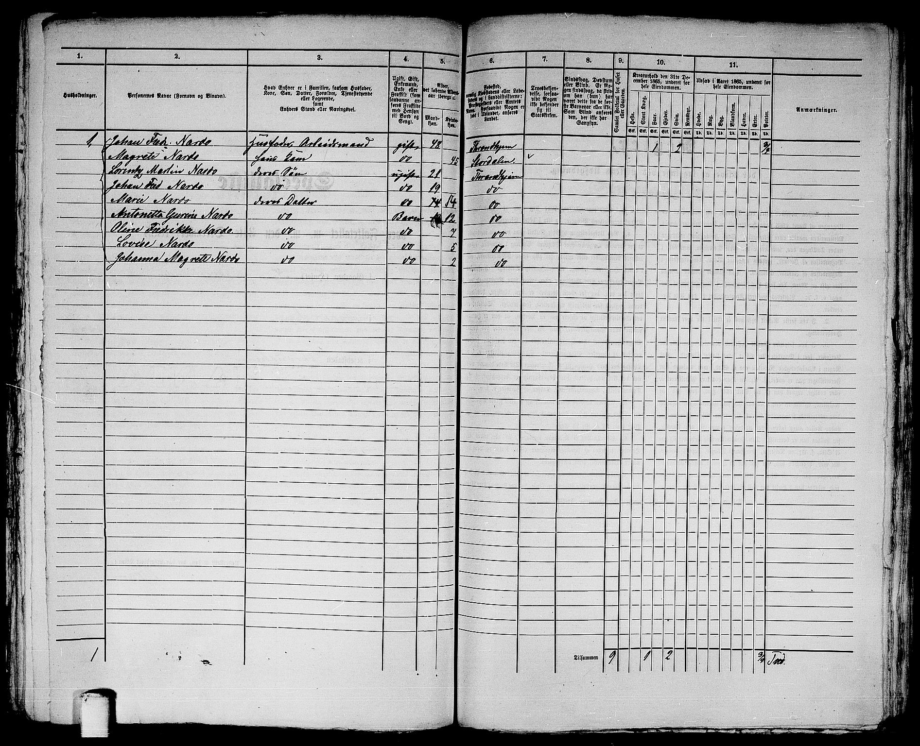 RA, 1865 census for Trondheim, 1865, p. 3005