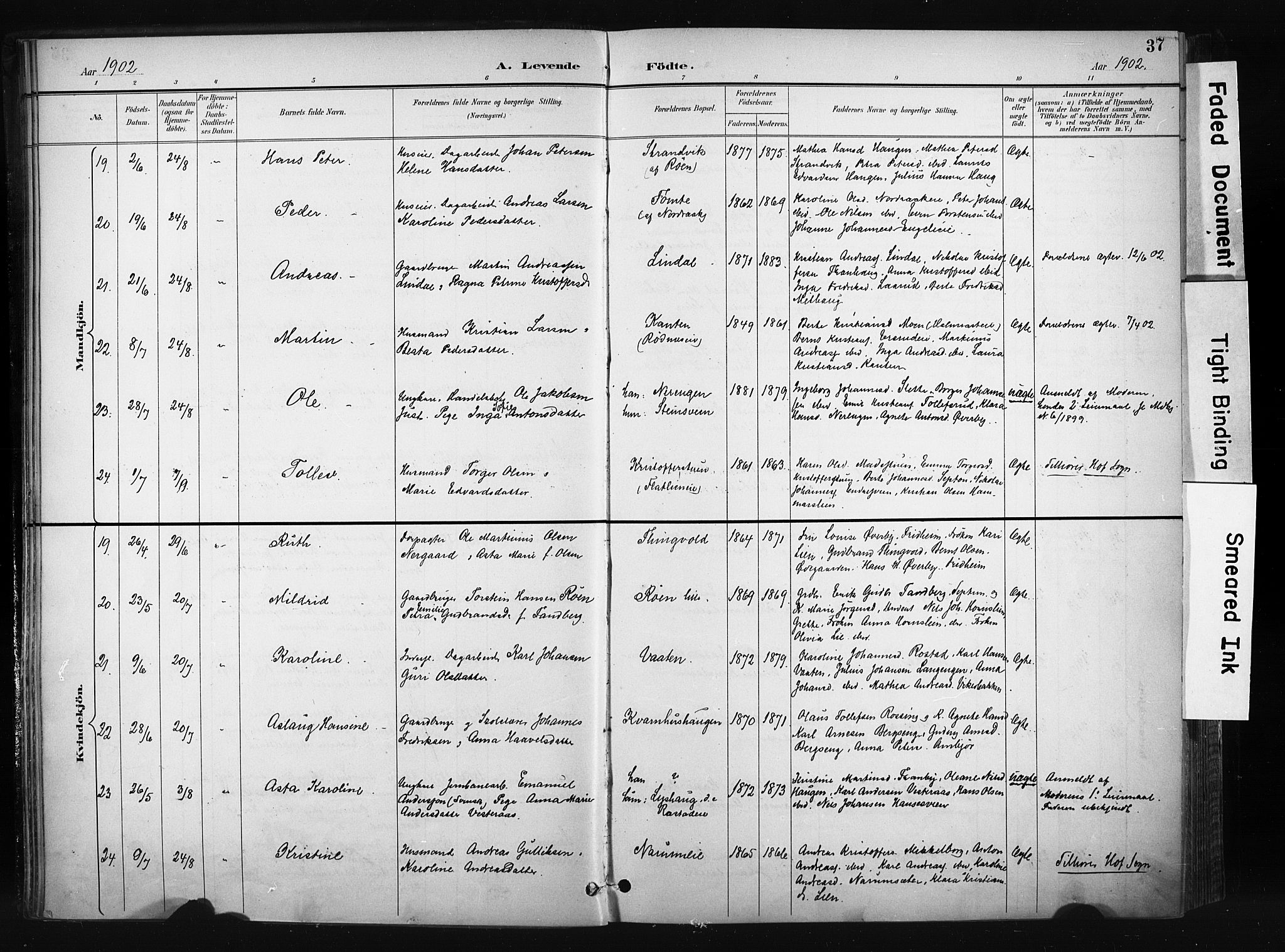 Søndre Land prestekontor, AV/SAH-PREST-122/K/L0004: Parish register (official) no. 4, 1895-1904, p. 37