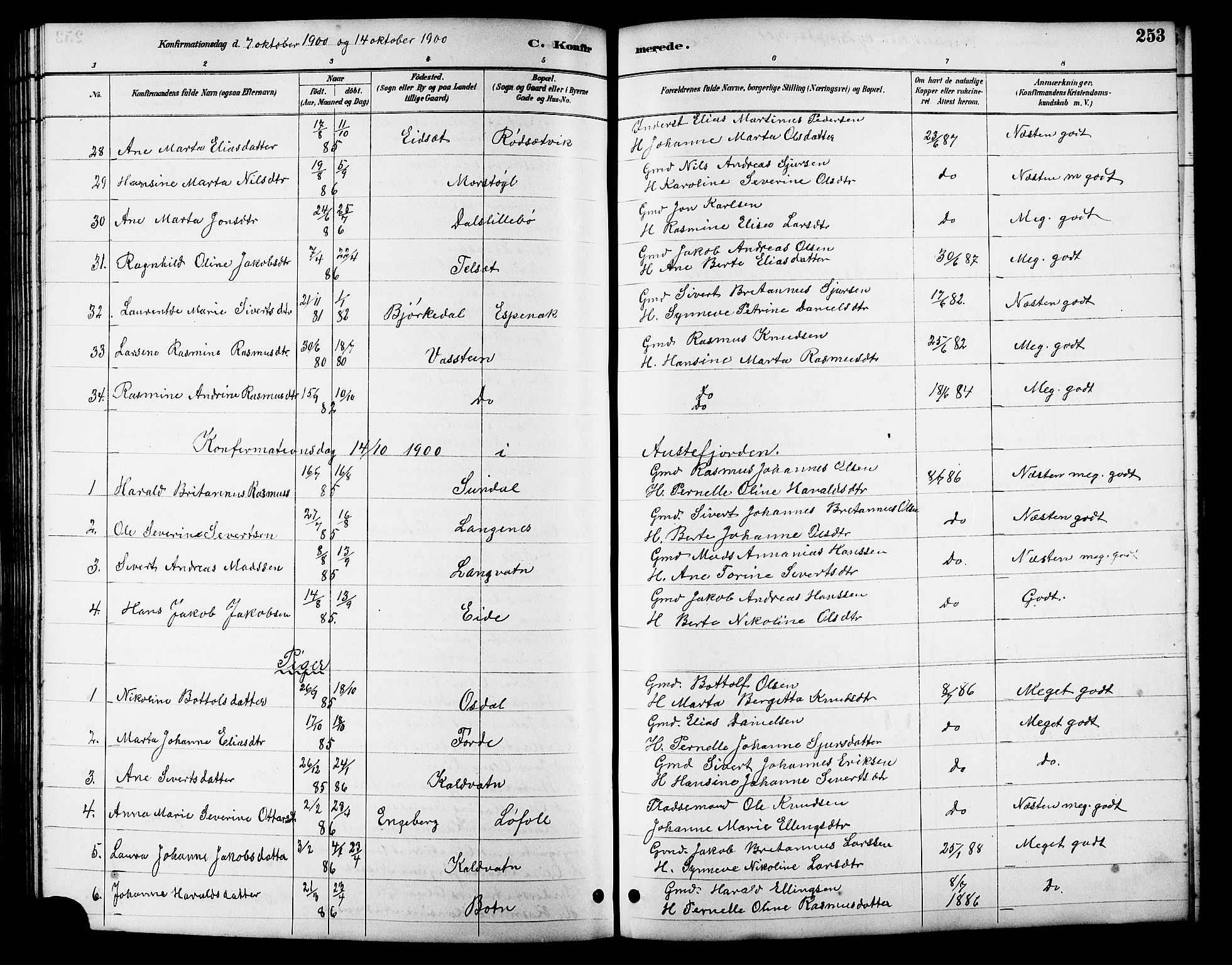 Ministerialprotokoller, klokkerbøker og fødselsregistre - Møre og Romsdal, AV/SAT-A-1454/511/L0158: Parish register (copy) no. 511C04, 1884-1903, p. 253