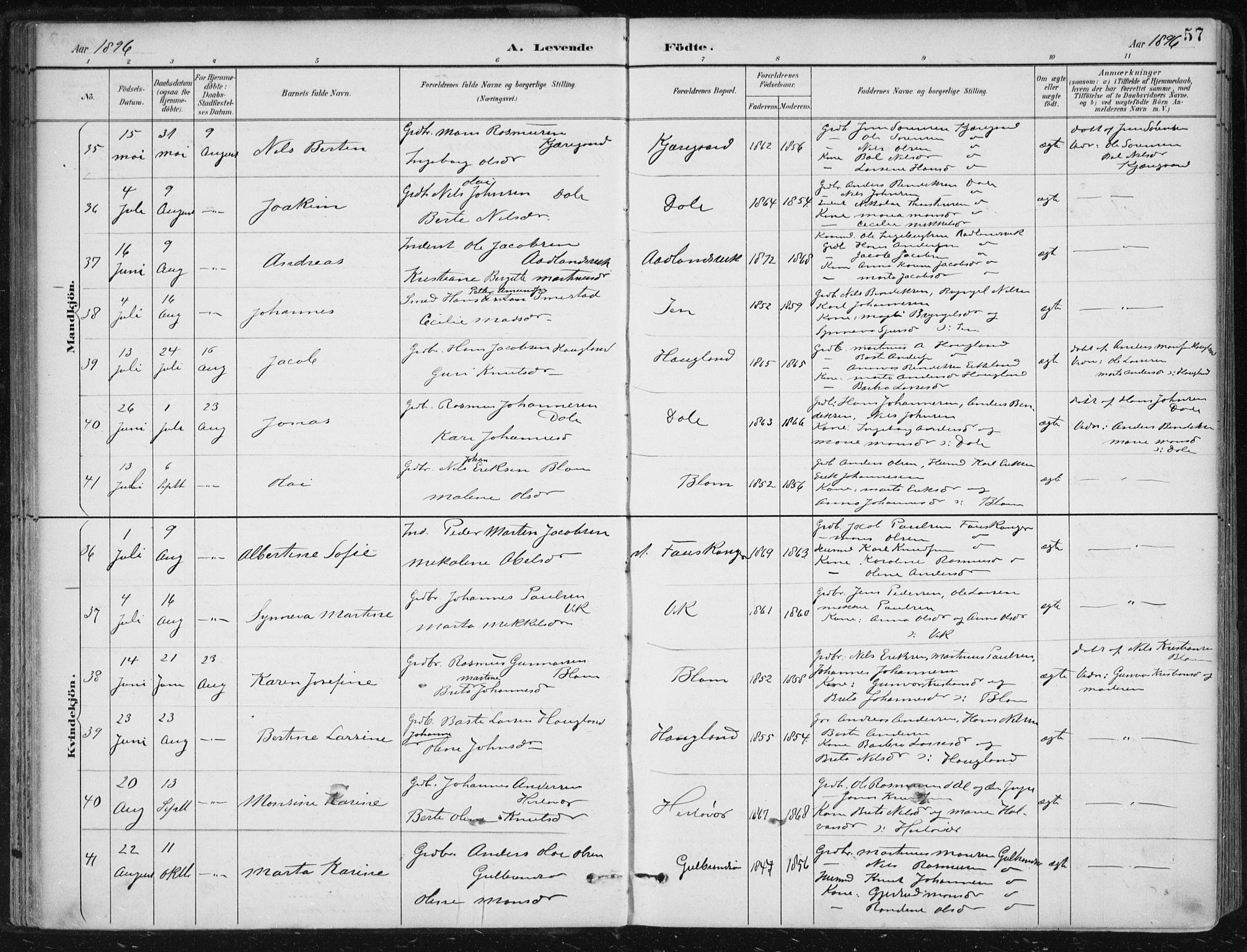 Herdla Sokneprestembete, AV/SAB-A-75701/H/Haa: Parish register (official) no. A 4, 1891-1905, p. 57