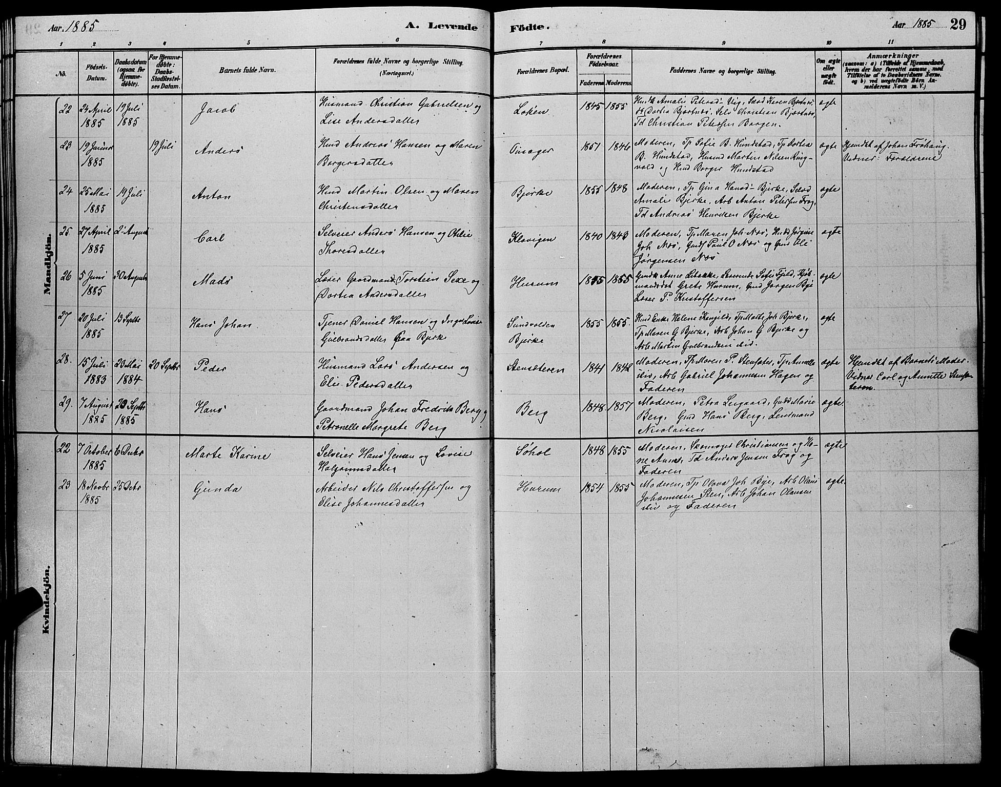 Hole kirkebøker, SAKO/A-228/G/Ga/L0003: Parish register (copy) no. I 3, 1879-1904, p. 29