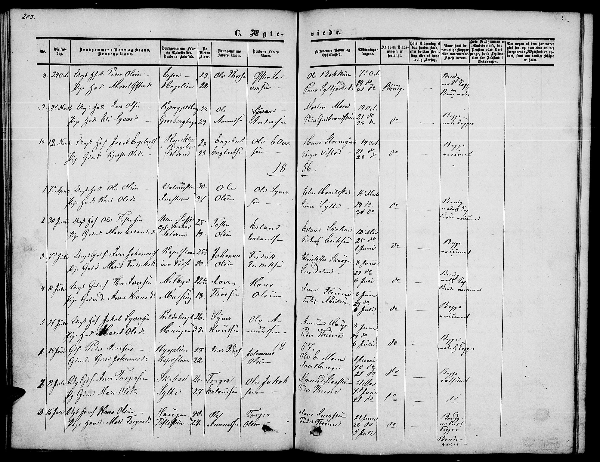Nord-Fron prestekontor, SAH/PREST-080/H/Ha/Hab/L0002: Parish register (copy) no. 2, 1851-1883, p. 203