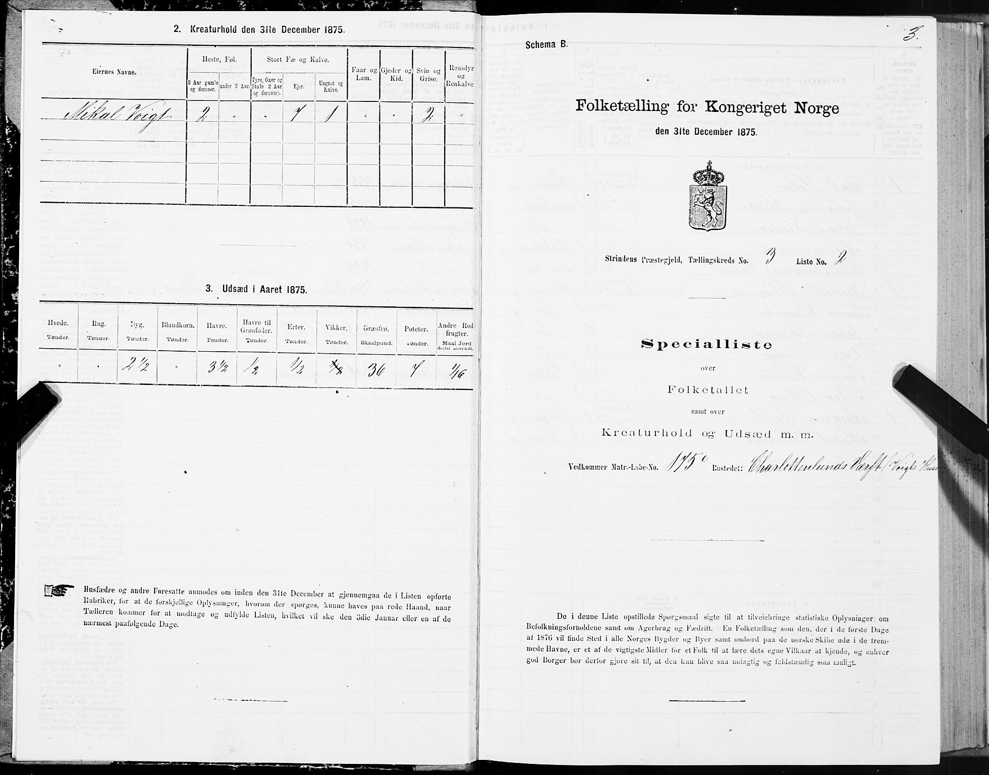 SAT, 1875 census for 1660P Strinda, 1875, p. 2003