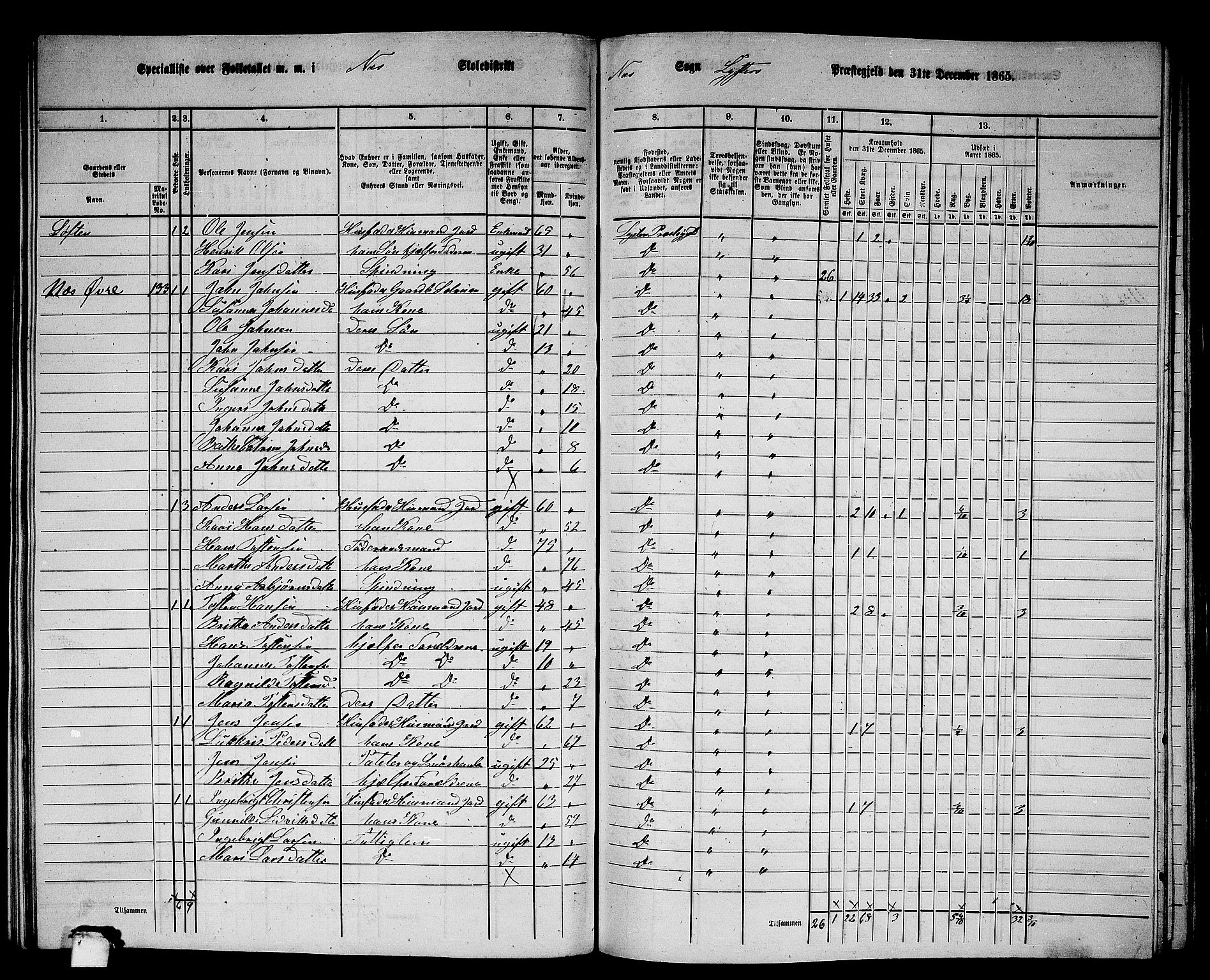 RA, 1865 census for Luster, 1865, p. 122