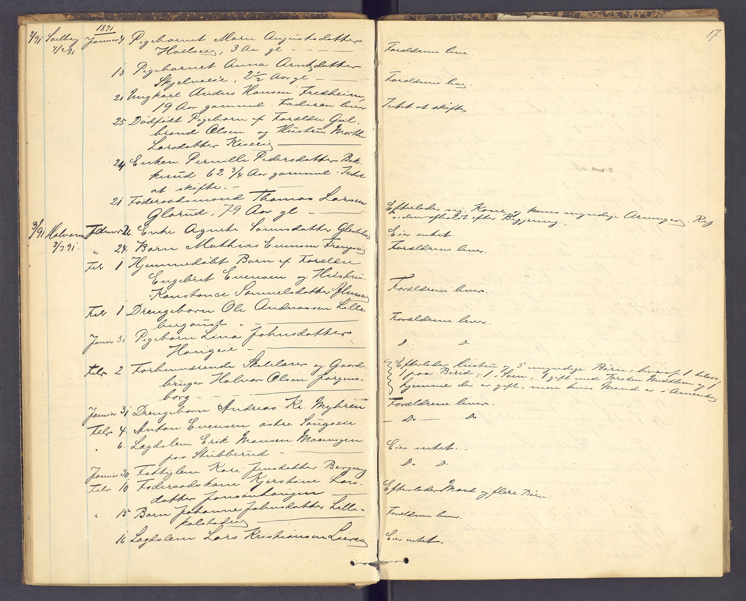 Nord-Hedmark sorenskriveri, AV/SAH-TING-012/J/Ji/L0003: Dødsfallsprotokoll, 1889-1895, p. 17