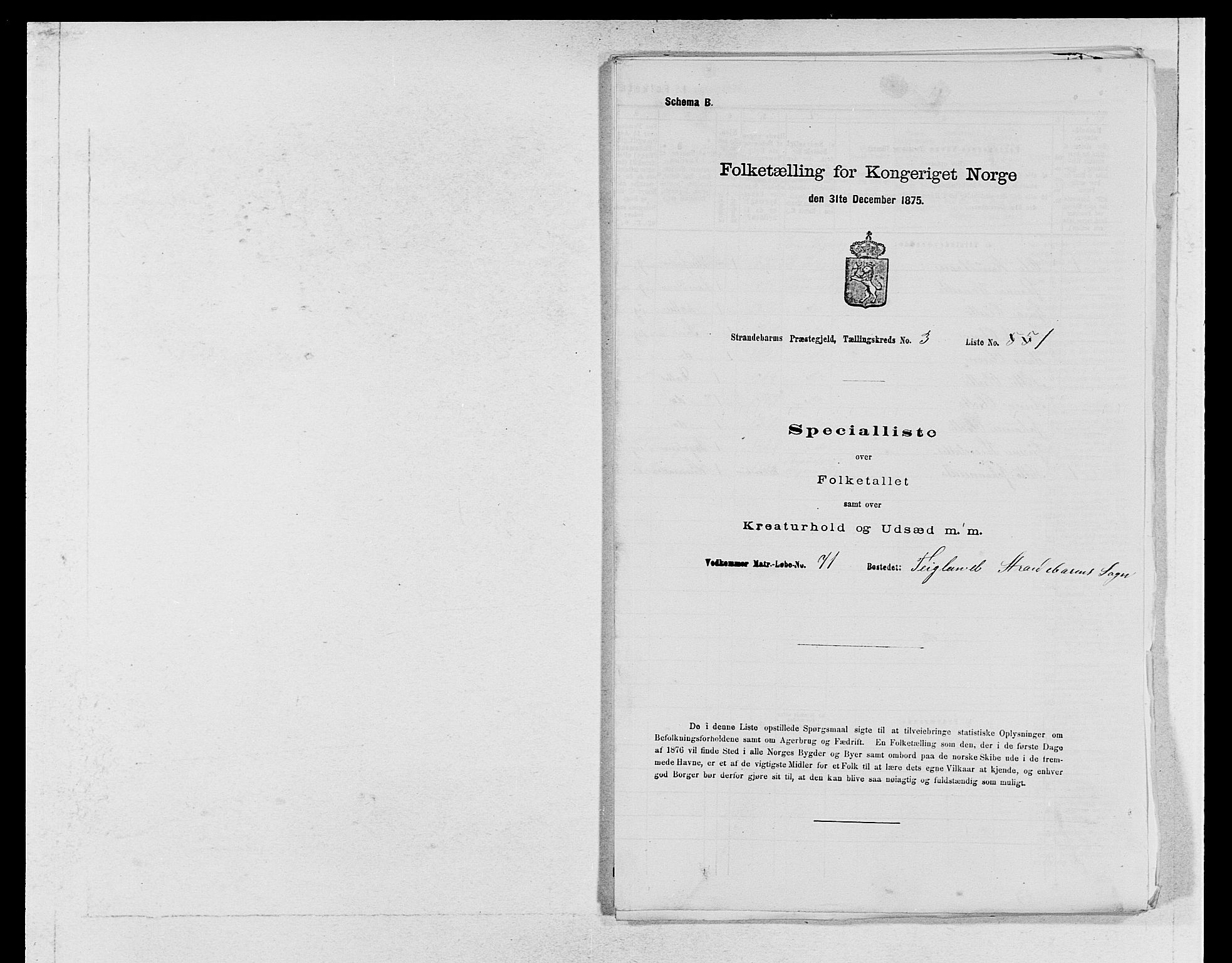 SAB, 1875 census for 1226P Strandebarm, 1875, p. 452