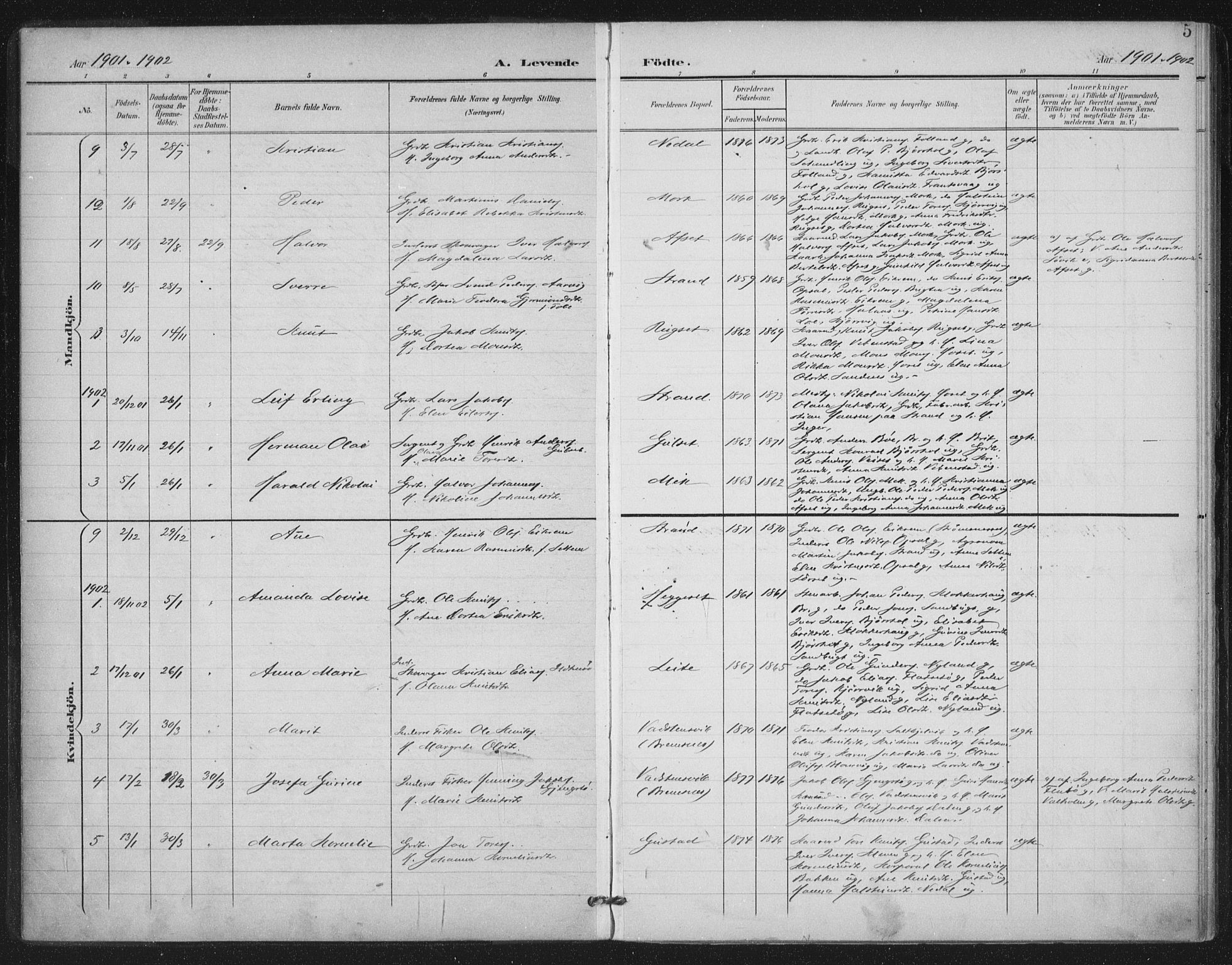 Ministerialprotokoller, klokkerbøker og fødselsregistre - Møre og Romsdal, SAT/A-1454/568/L0810: Parish register (official) no. 568A14, 1901-1915, p. 5