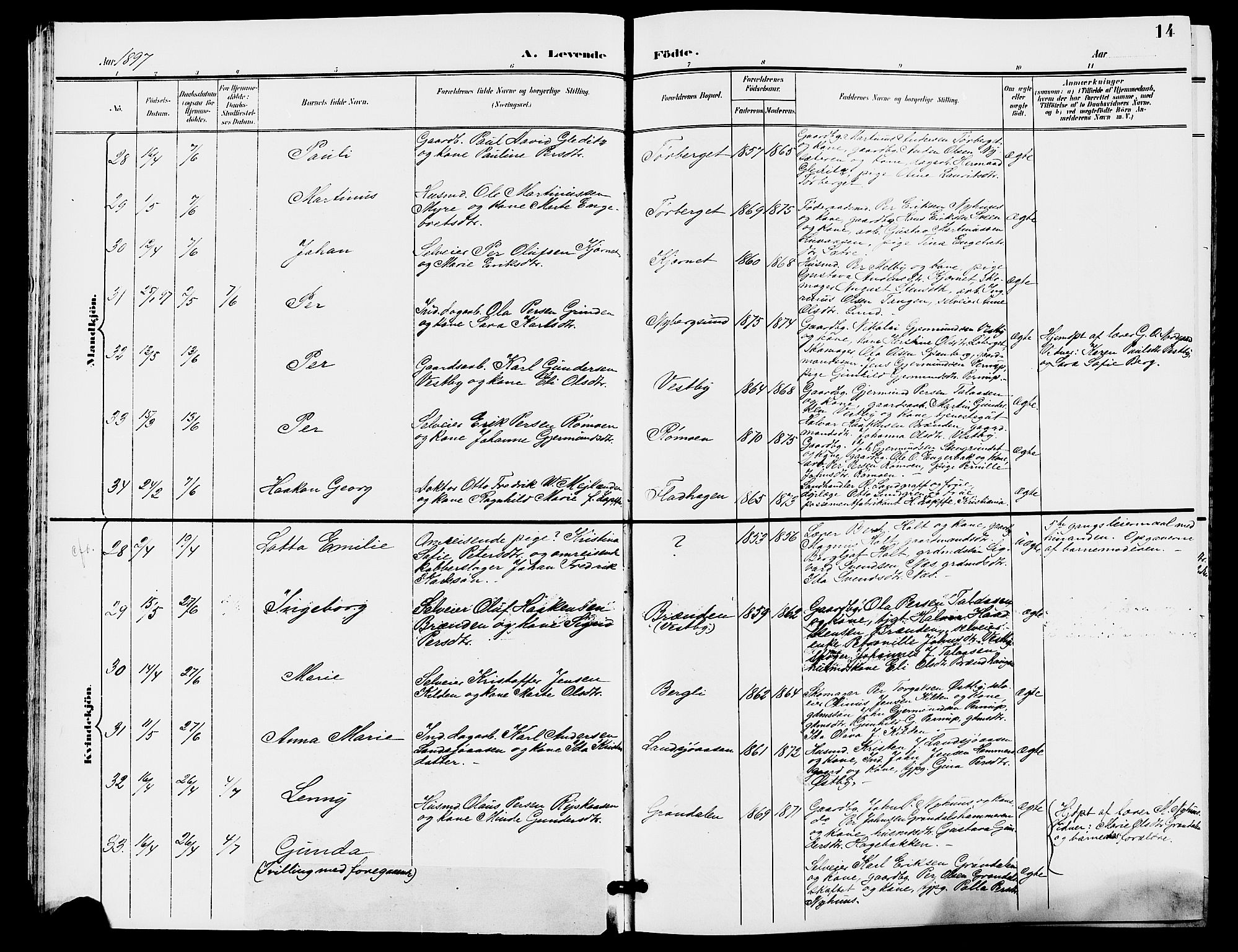 Trysil prestekontor, AV/SAH-PREST-046/H/Ha/Hab/L0006: Parish register (copy) no. 6, 1896-1912, p. 14