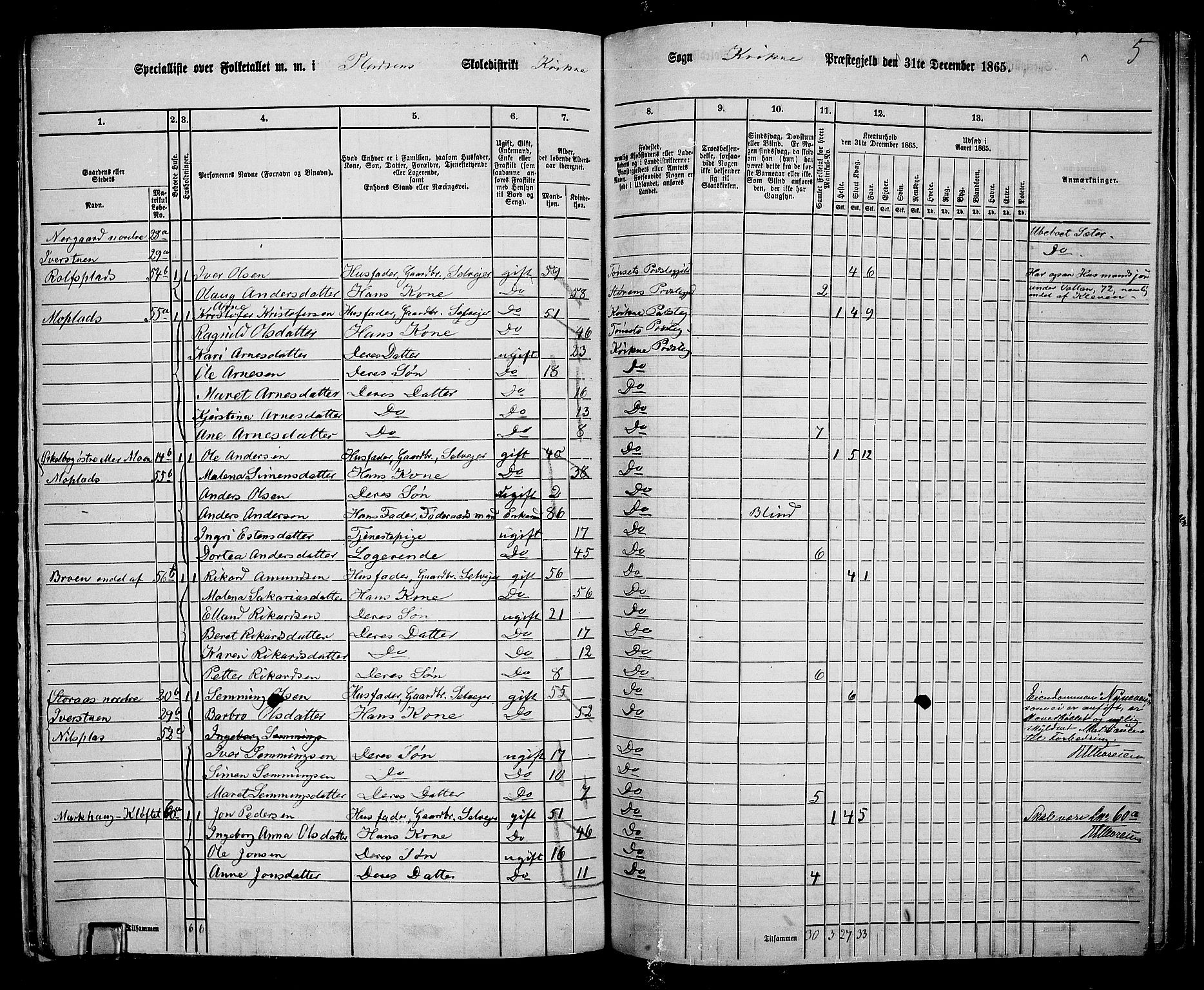 RA, 1865 census for Kvikne, 1865, p. 19