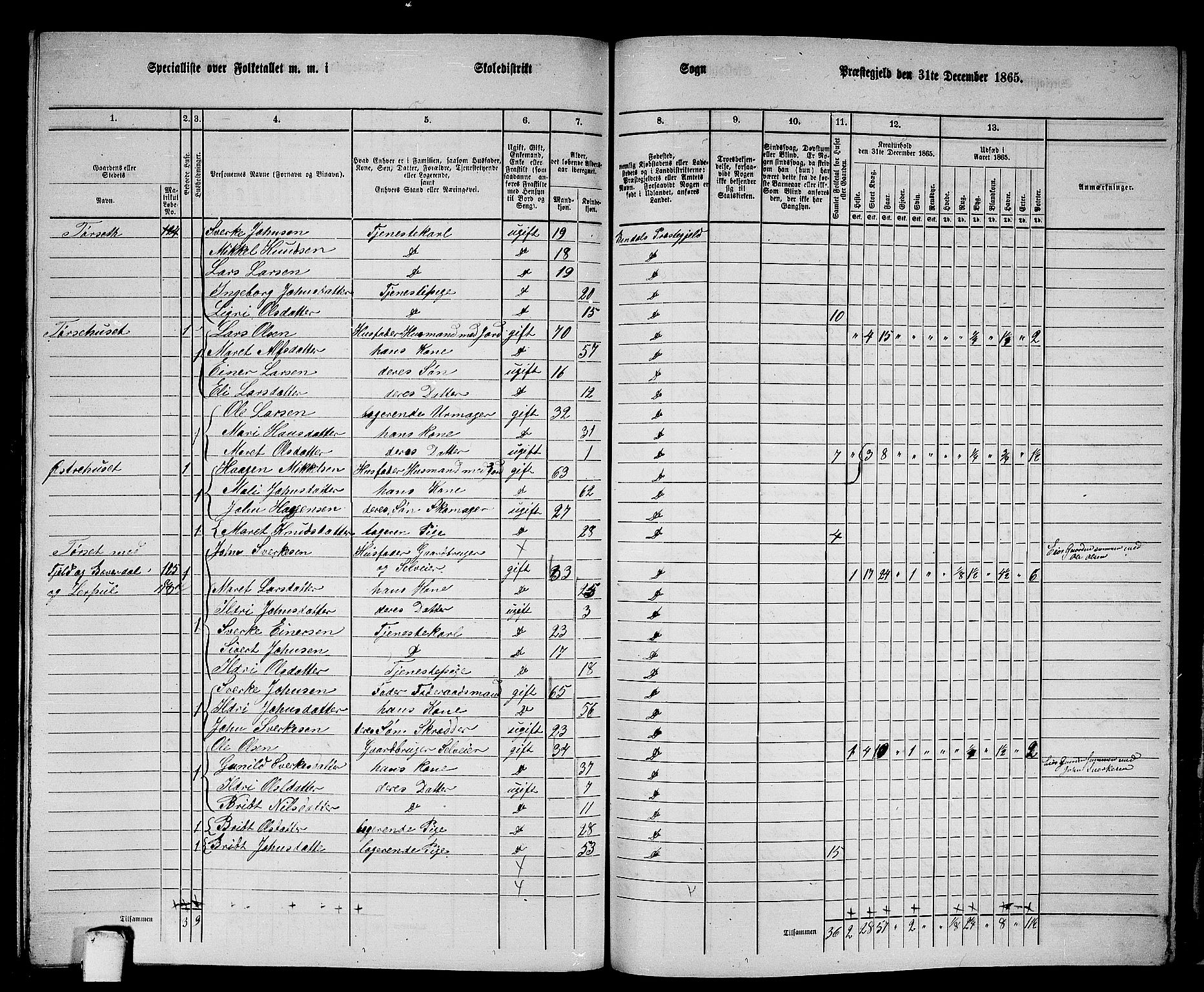 RA, 1865 census for Rindal, 1865, p. 95