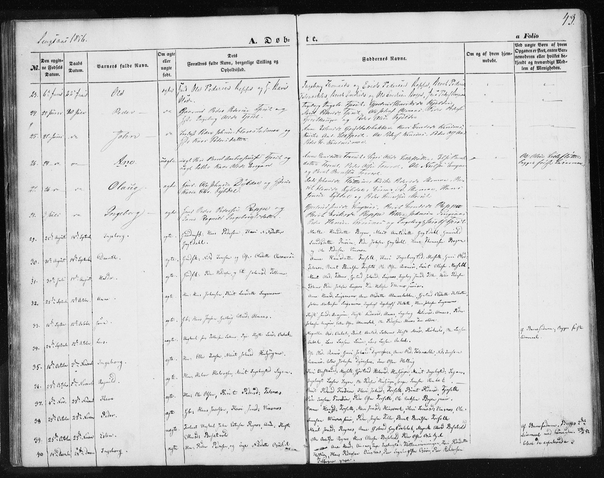 Ministerialprotokoller, klokkerbøker og fødselsregistre - Sør-Trøndelag, SAT/A-1456/685/L0964: Parish register (official) no. 685A06 /2, 1846-1859, p. 43