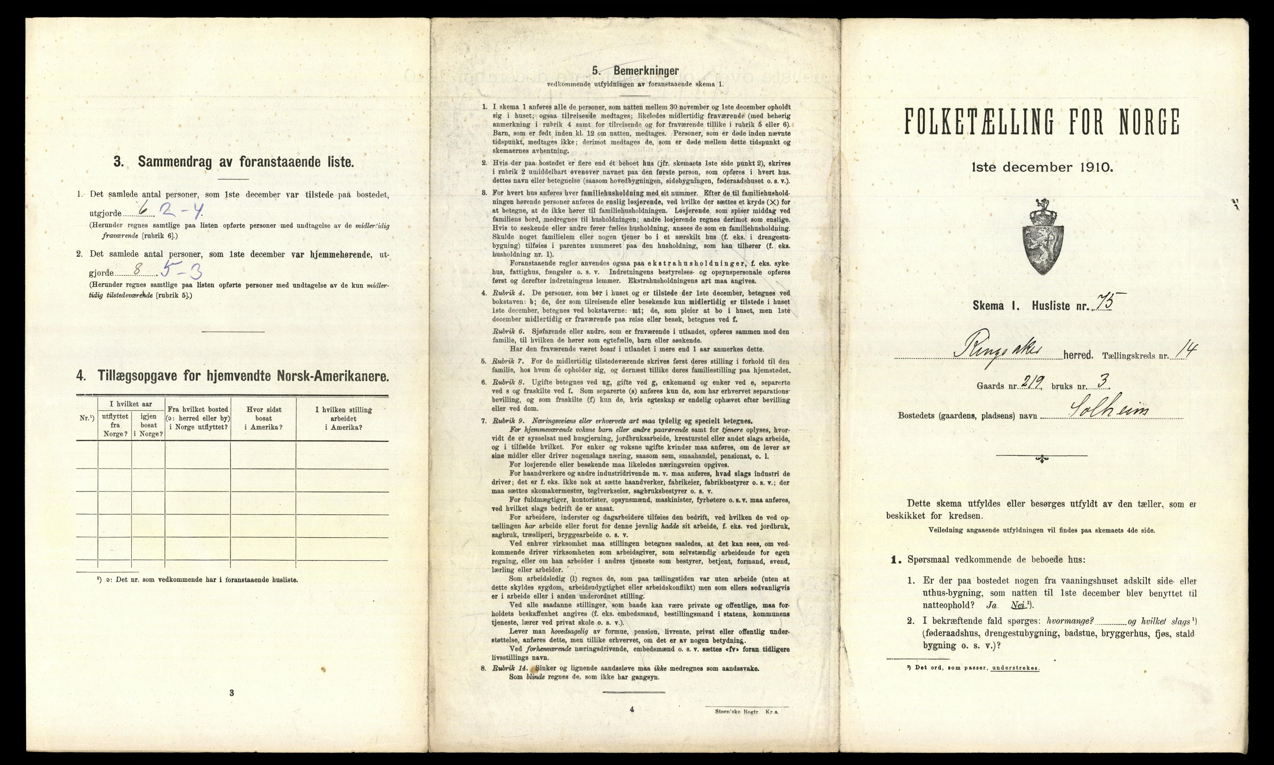 RA, 1910 census for Ringsaker, 1910, p. 2893