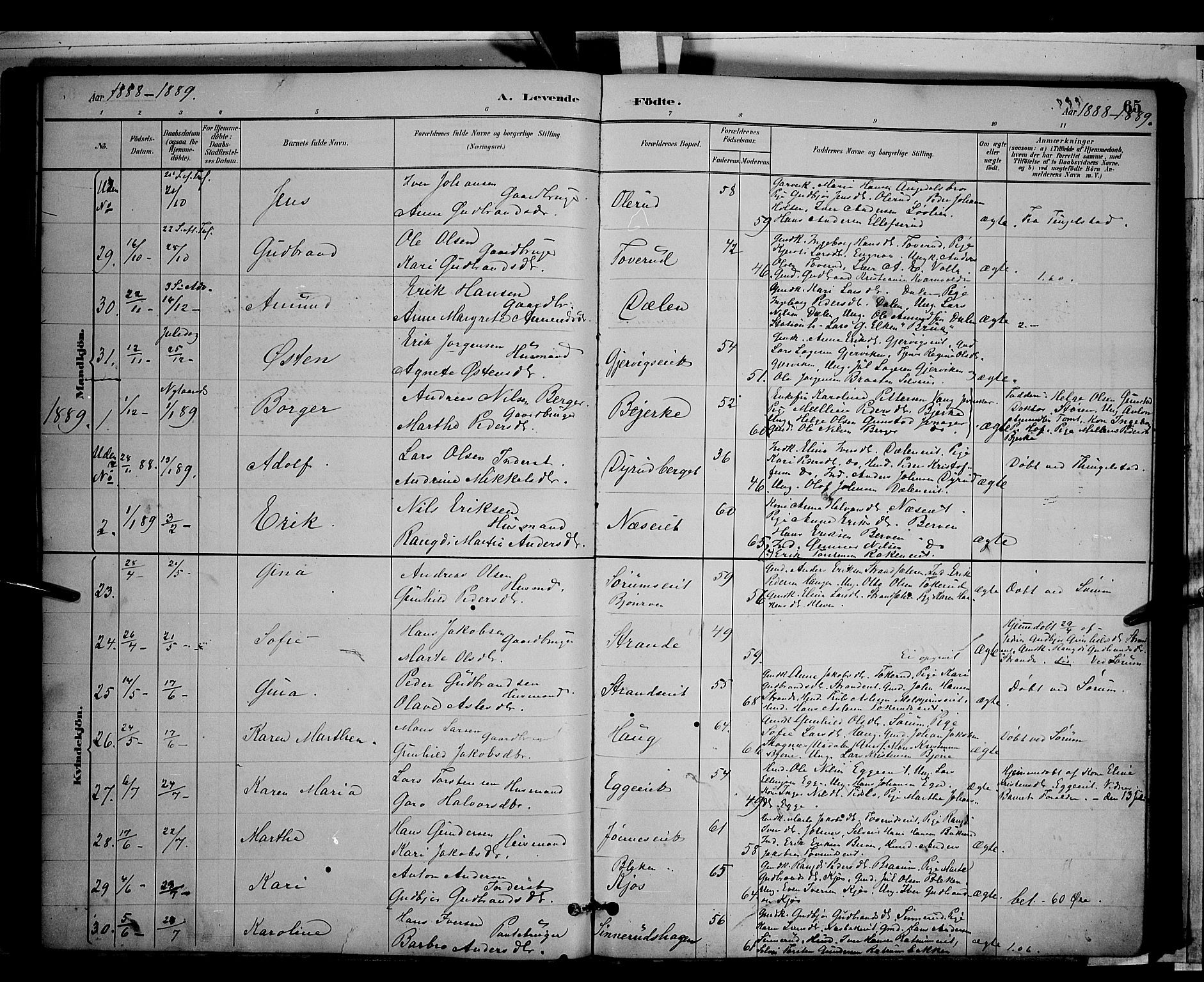 Gran prestekontor, SAH/PREST-112/H/Ha/Hab/L0003: Parish register (copy) no. 3, 1882-1890, p. 65