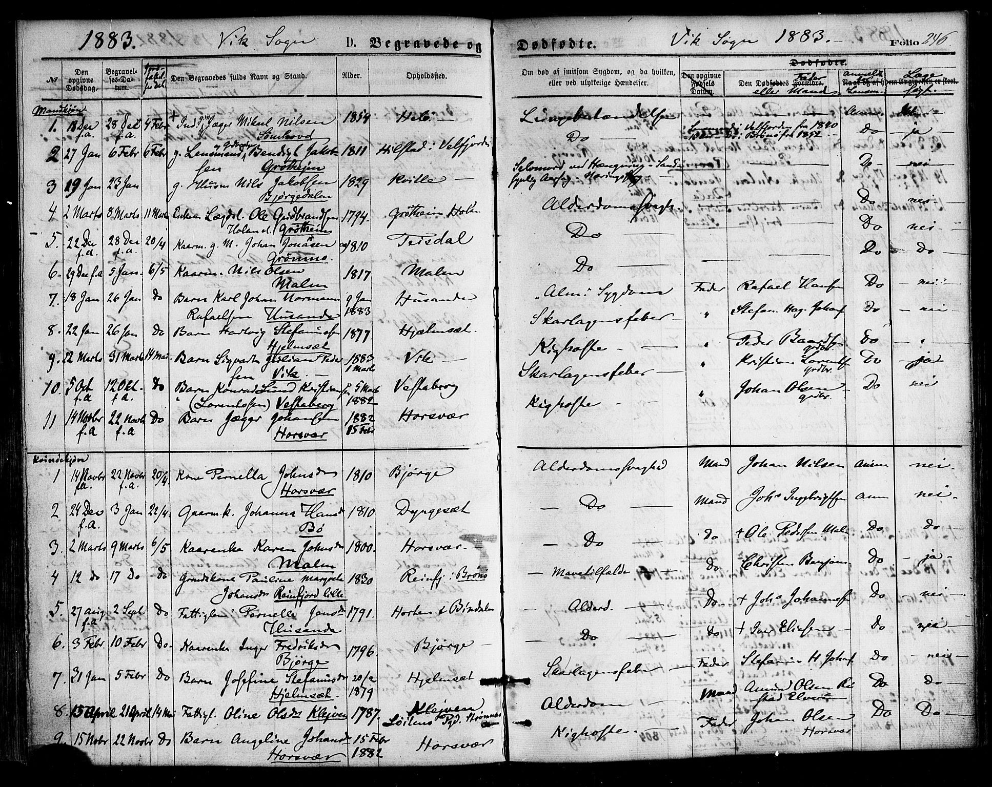 Ministerialprotokoller, klokkerbøker og fødselsregistre - Nordland, SAT/A-1459/812/L0177: Parish register (official) no. 812A06, 1875-1885, p. 246