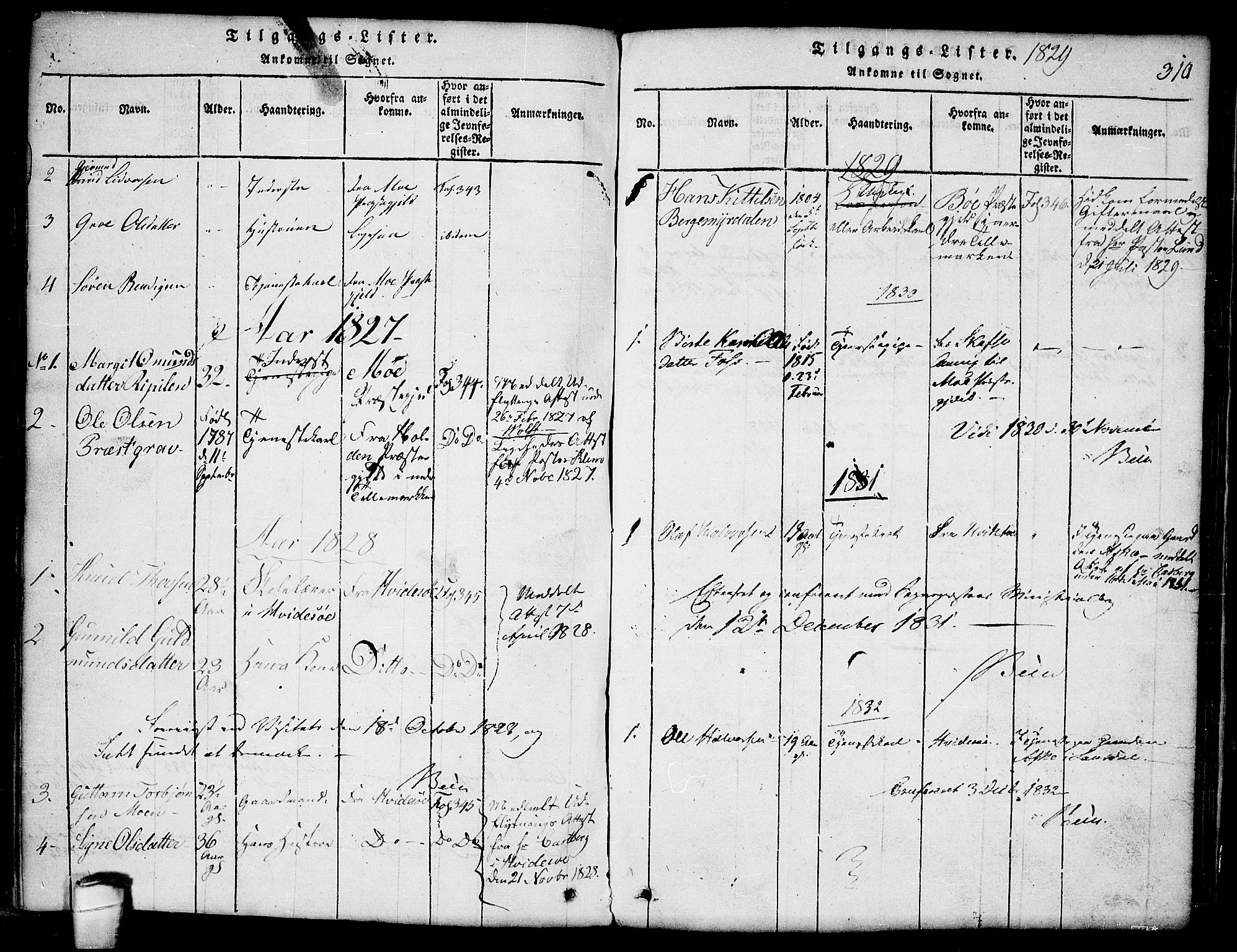 Lårdal kirkebøker, SAKO/A-284/G/Ga/L0001: Parish register (copy) no. I 1, 1815-1861, p. 310