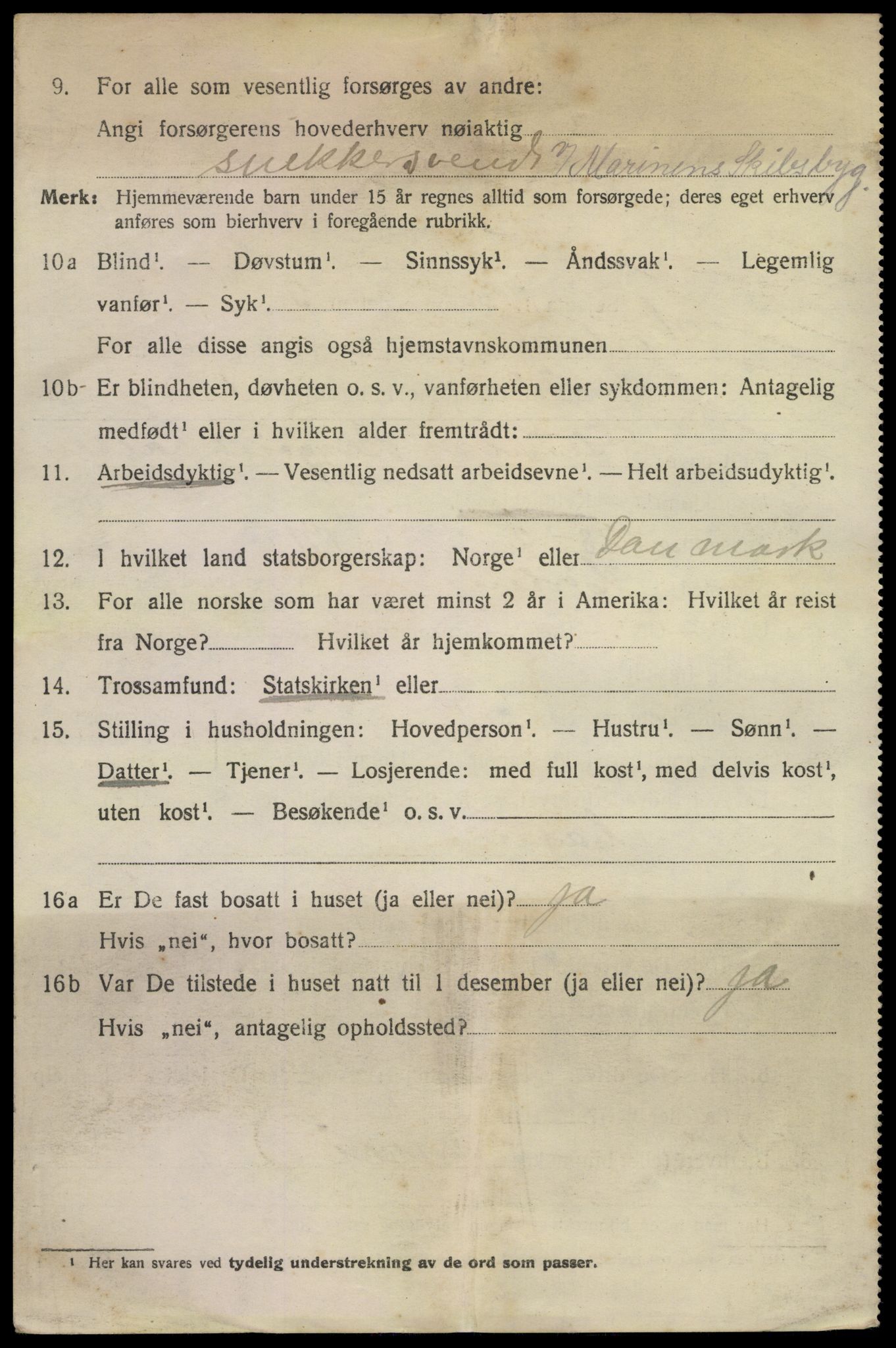 SAKO, 1920 census for Horten, 1920, p. 13454