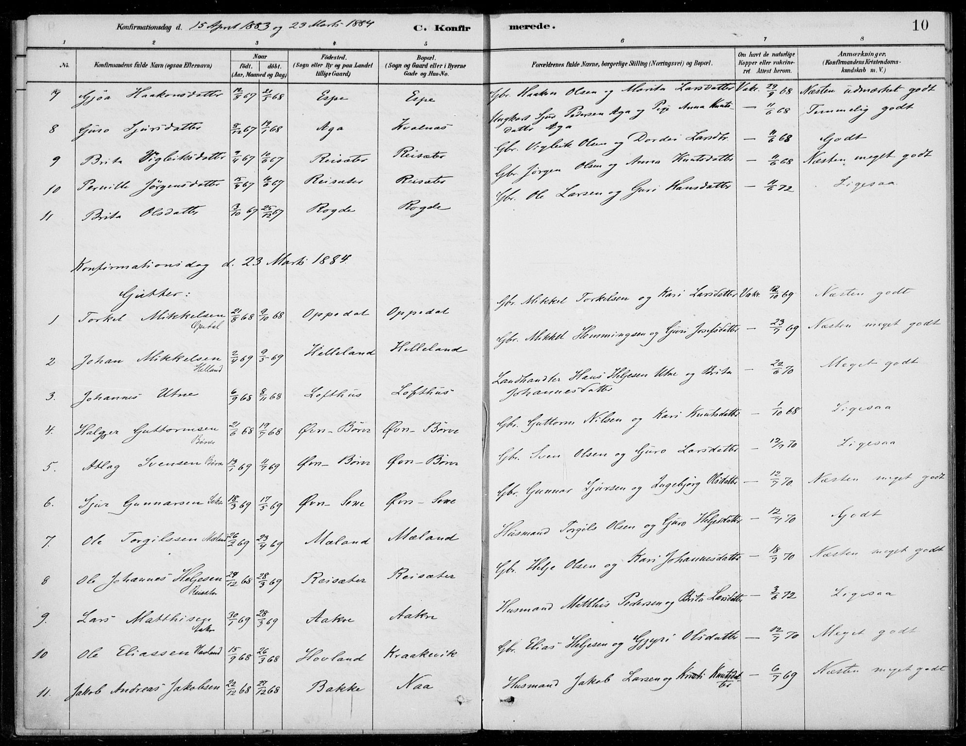 Ullensvang sokneprestembete, SAB/A-78701/H/Haa: Parish register (official) no. B  2, 1880-1910, p. 10