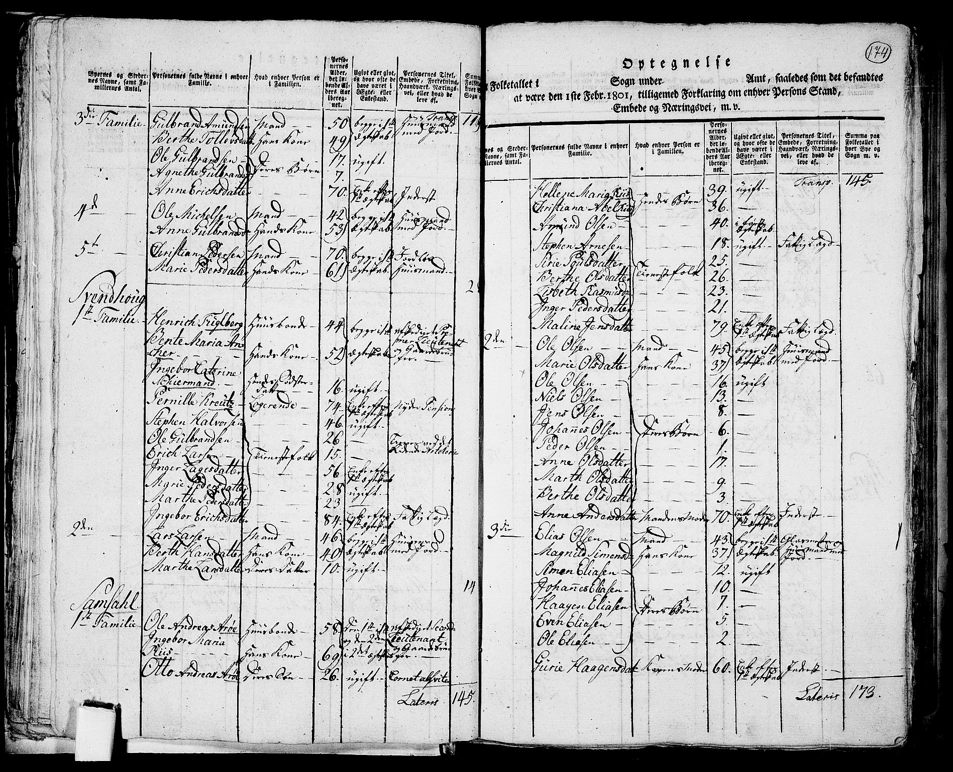 RA, 1801 census for 0412P Ringsaker, 1801, p. 173b-174a