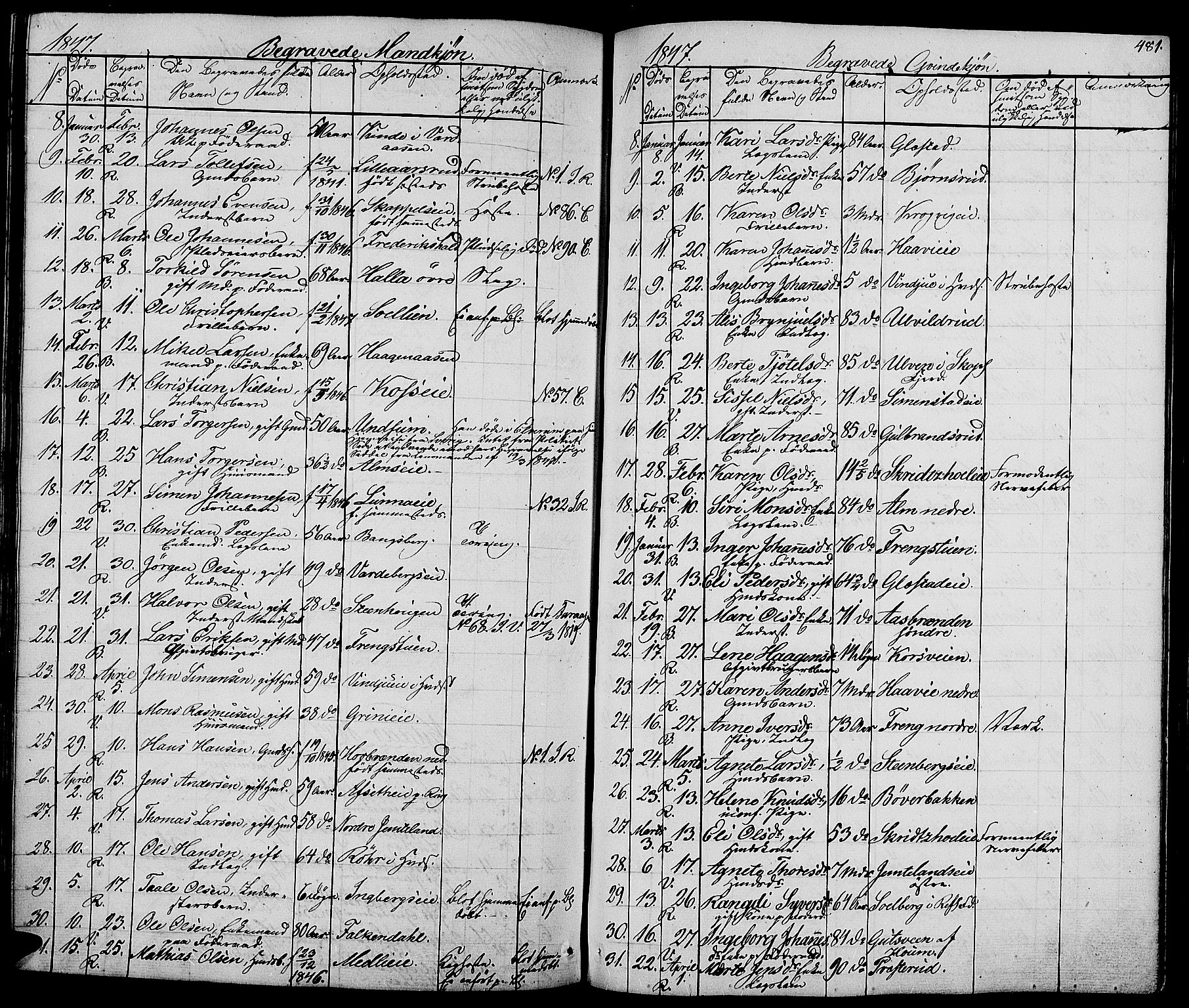 Ringsaker prestekontor, AV/SAH-PREST-014/L/La/L0005: Parish register (copy) no. 5, 1839-1850, p. 481