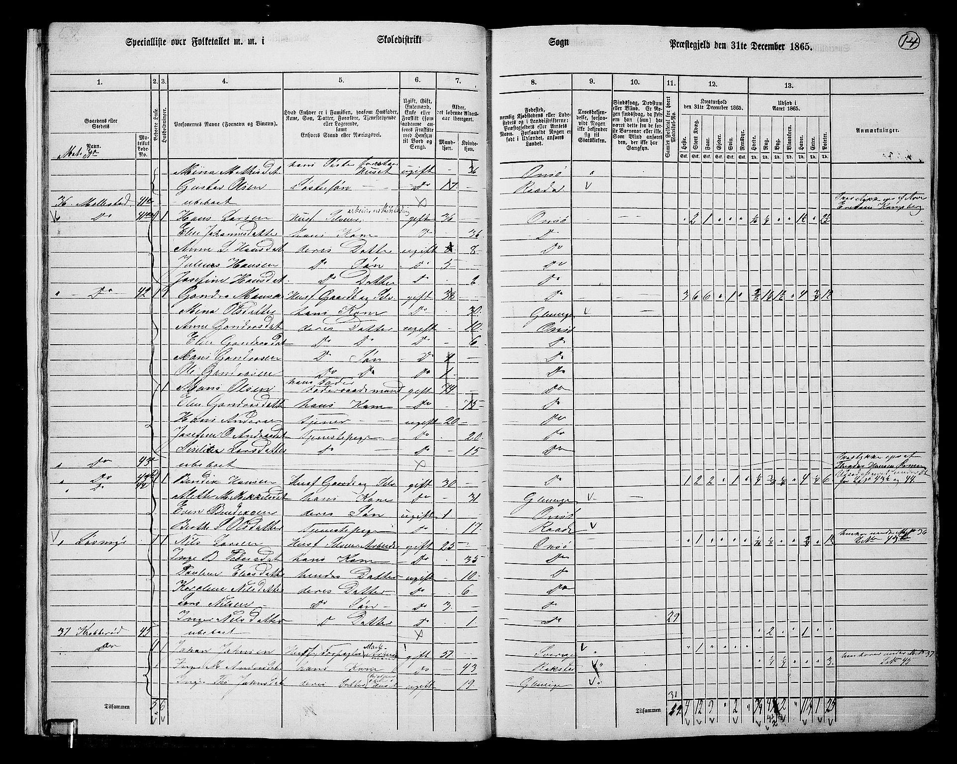 RA, 1865 census for Onsøy, 1865, p. 17