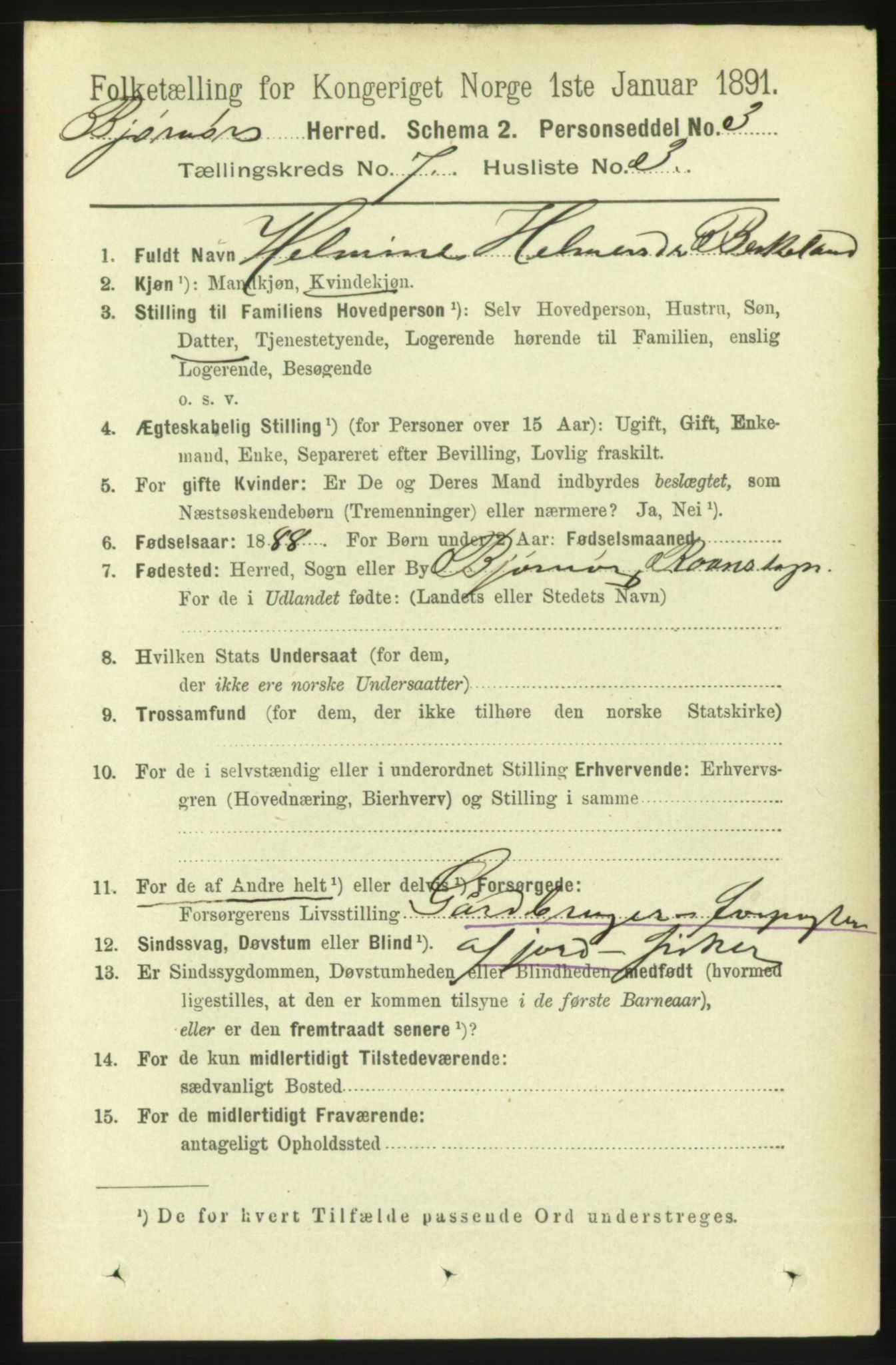 RA, 1891 census for 1632 Bjørnør, 1891, p. 3000